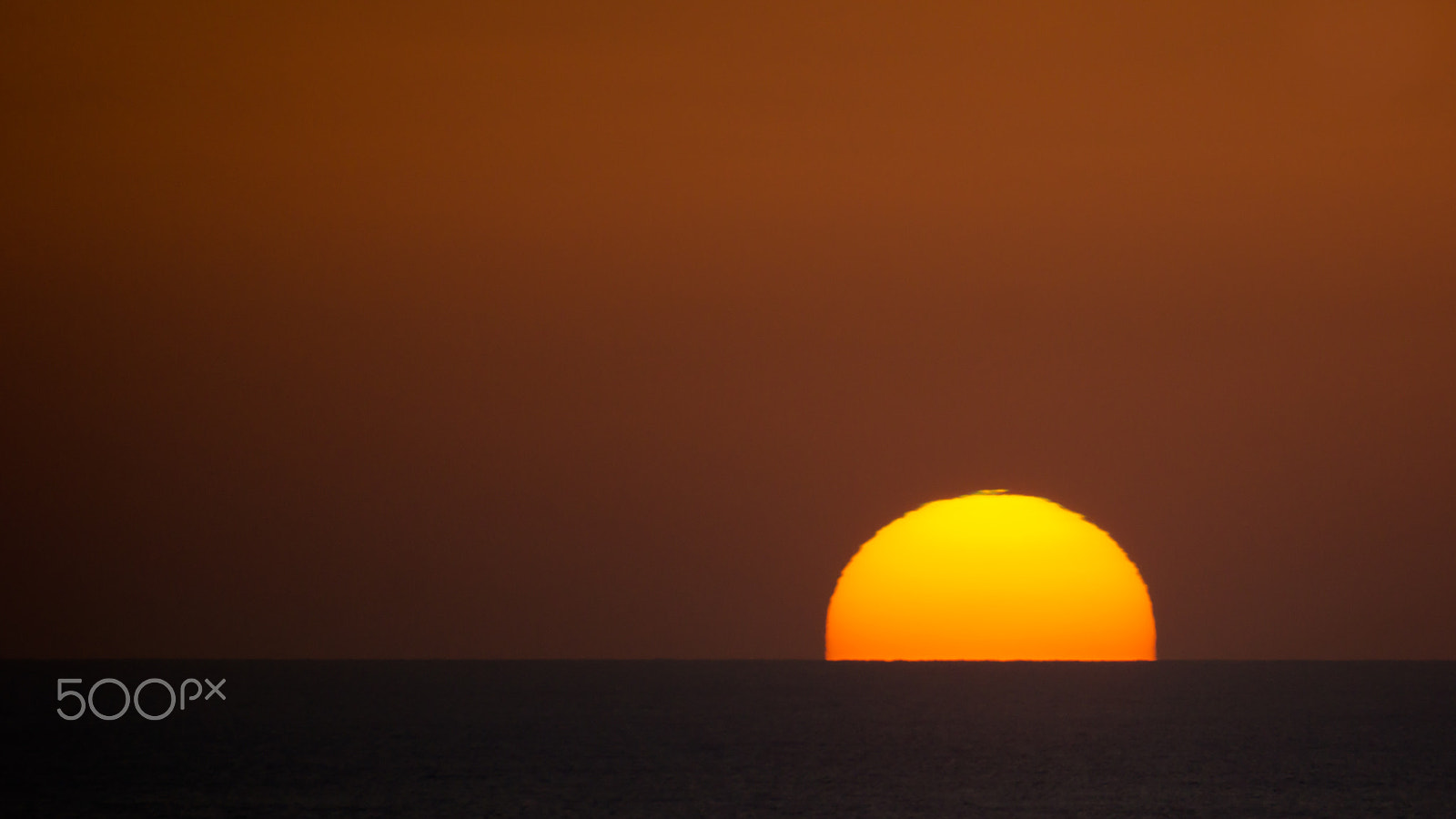 Sigma 150-500mm F5-6.3 DG OS HSM sample photo. Glowing down photography