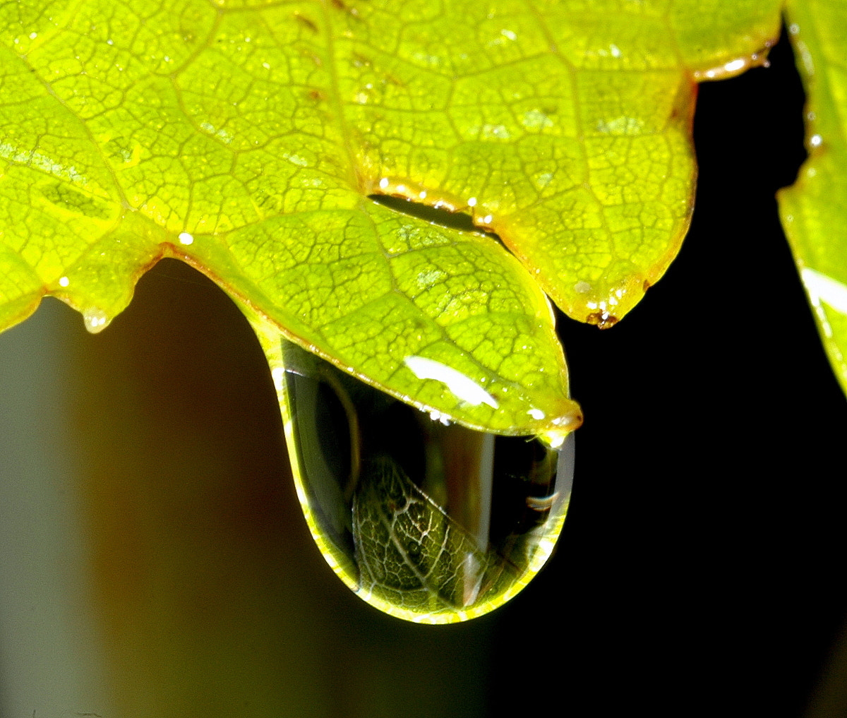 AF Zoom-Nikkor 35-70mm f/3.3-4.5 N sample photo. # photography
