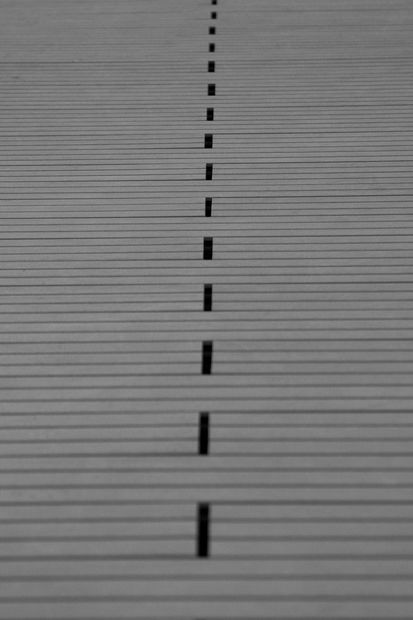 Canon EF 24-85mm F3.5-4.5 USM sample photo. Symmetry photography