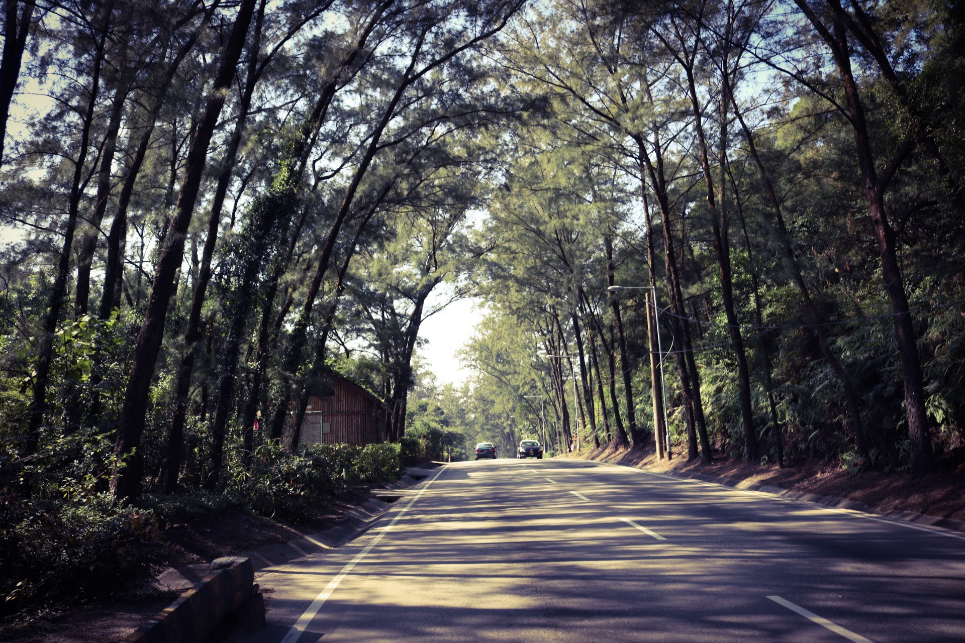Canon EOS 760D (EOS Rebel T6s / EOS 8000D) sample photo. Where nature meets roads ! photography