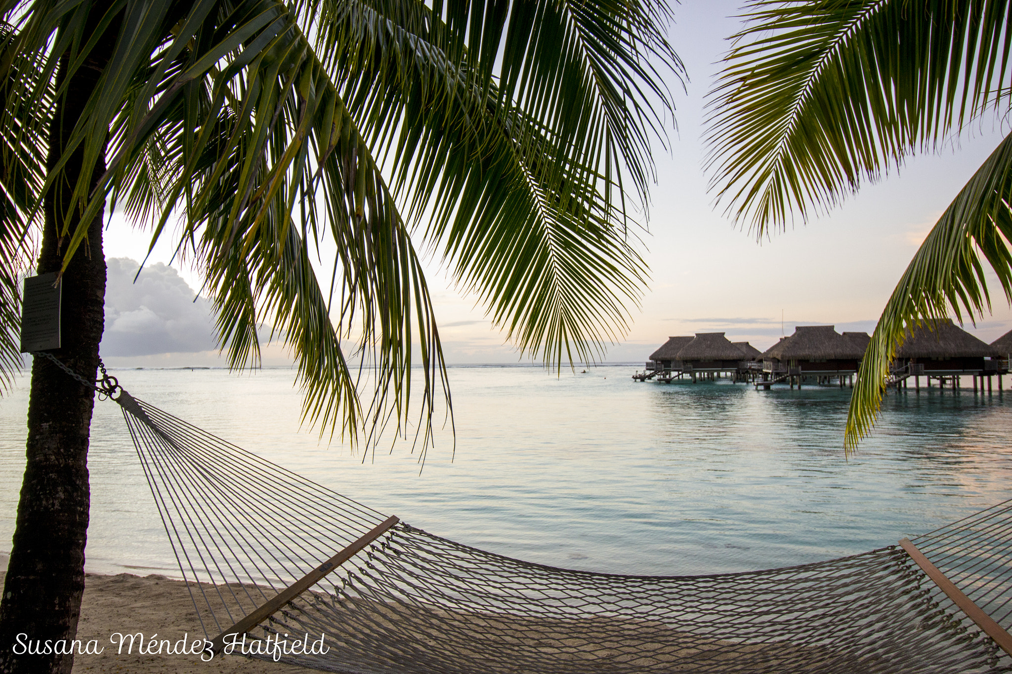 Canon EF-S 10-18mm F4.5–5.6 IS STM sample photo. Hammock photography