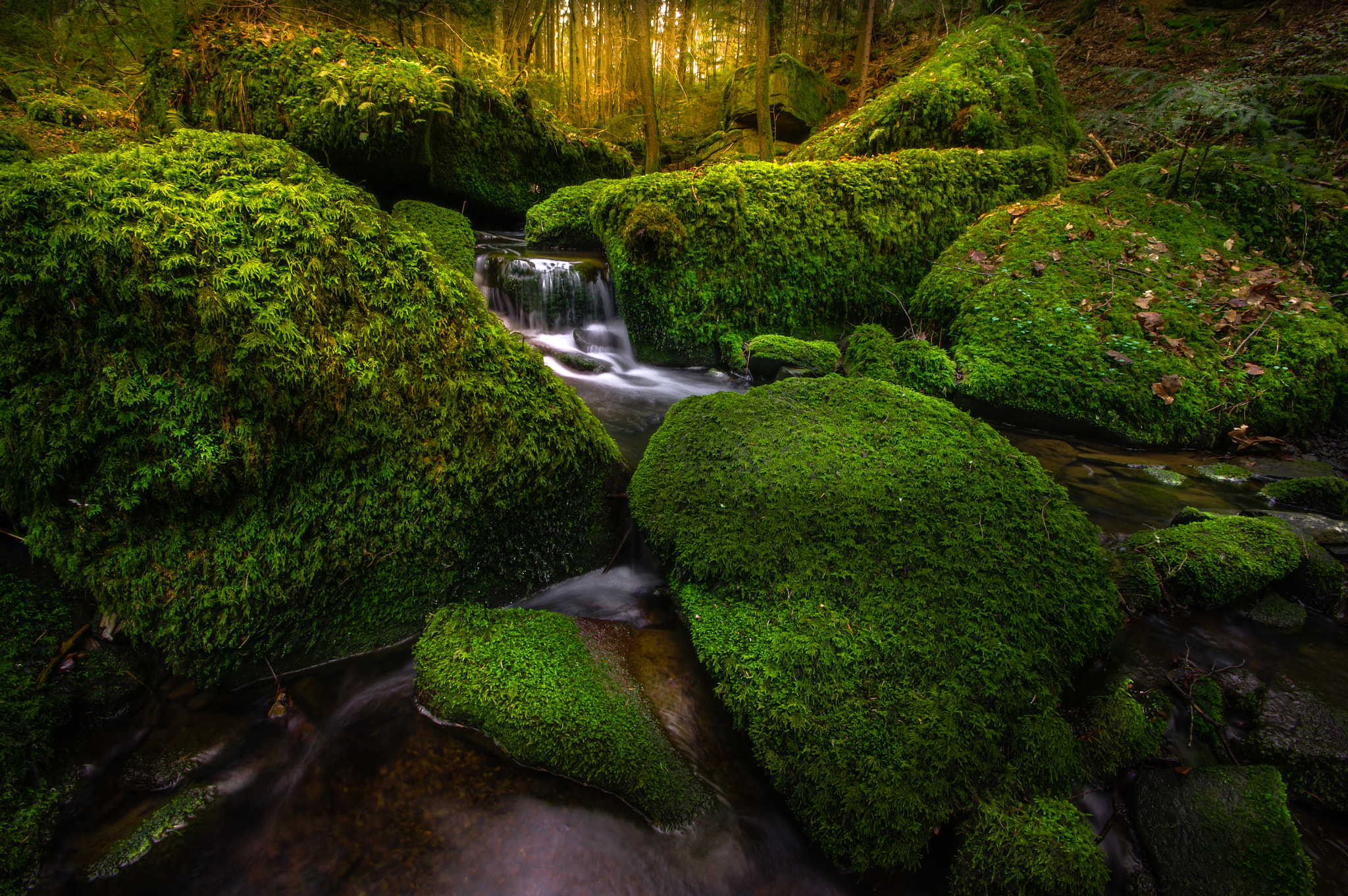 Pentax K20D + Sigma AF 10-20mm F4-5.6 EX DC sample photo. *green heart* photography