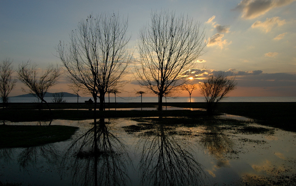 Nikon D70s sample photo. ... photography