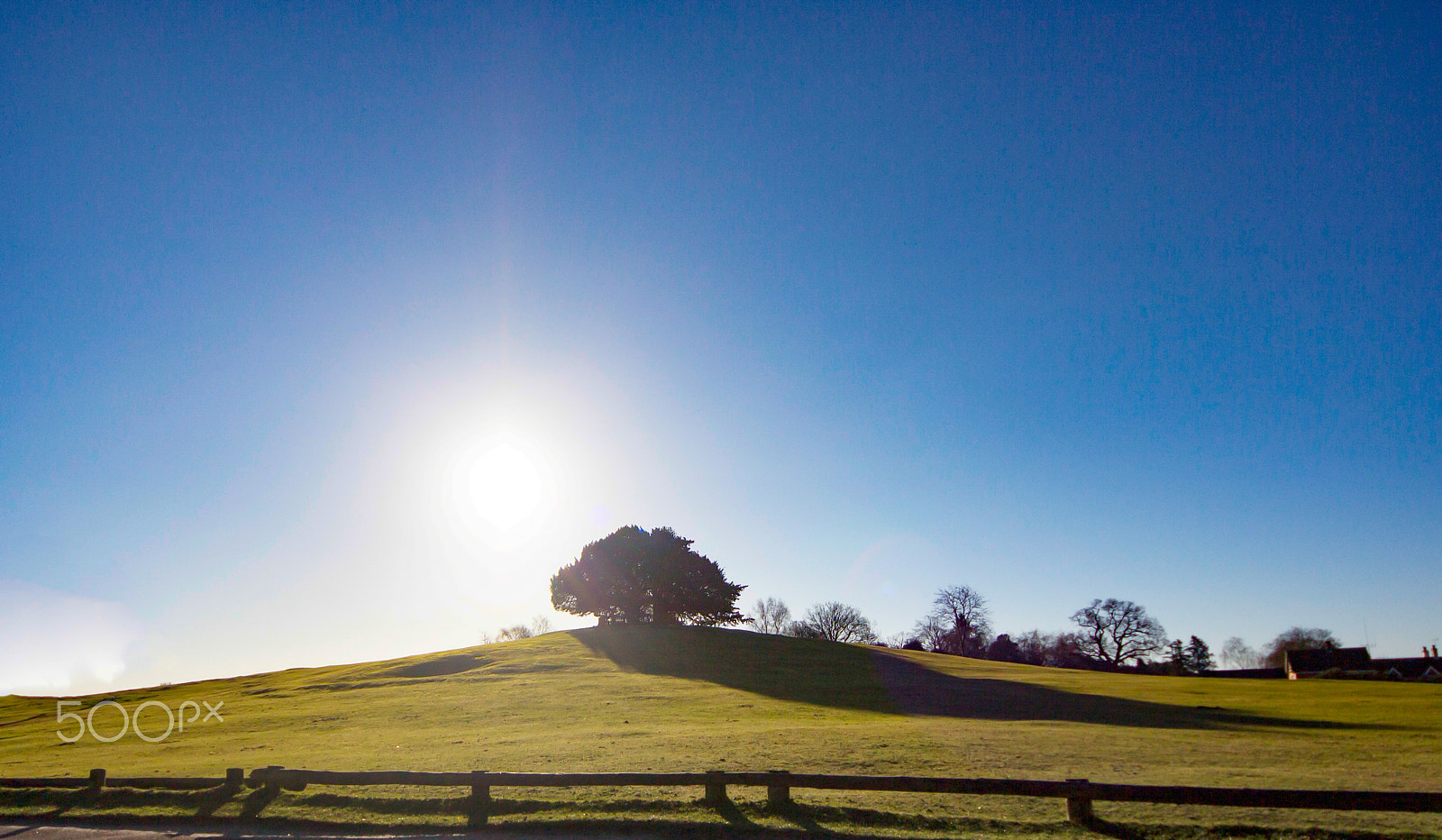 Sigma 8-16mm F4.5-5.6 DC HSM sample photo. Lonely oak on a hill top against the rising sun photography