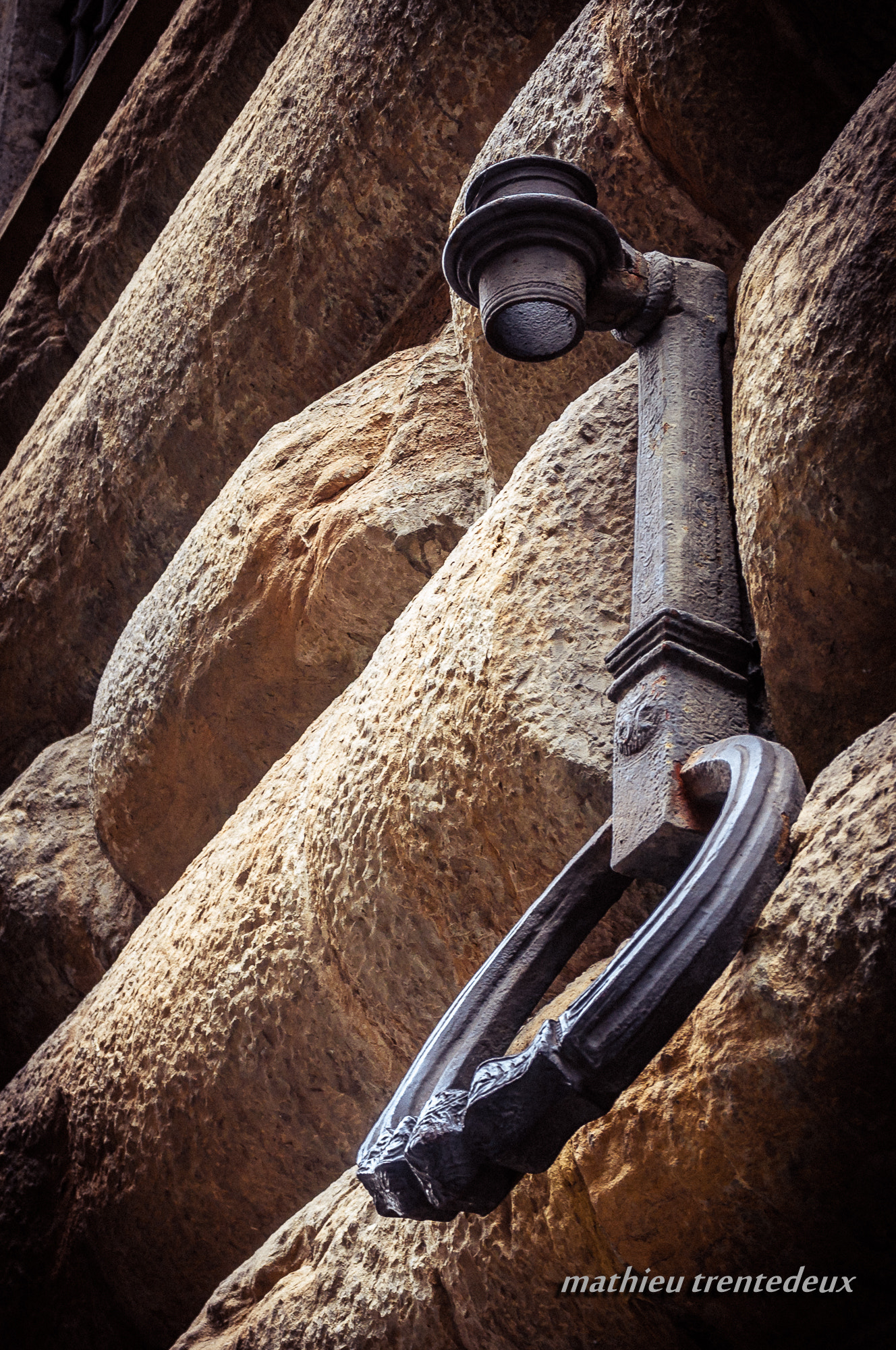 Sigma 17-70mm F2.8-4 DC Macro OS HSM | C sample photo. Florence - anneau photography