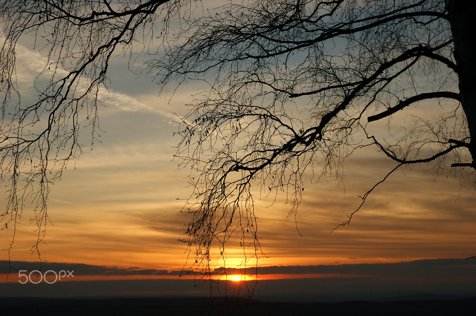 Sony Alpha DSLR-A290 + Sony DT 16-50mm F2.8 SSM sample photo. Sunset 1st april 2016 photography