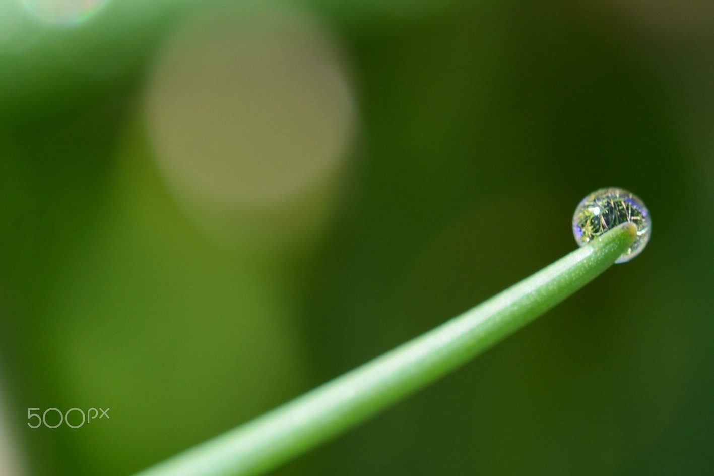 Nikon AF-S DX Micro-Nikkor 85mm F3.5G ED VR sample photo. Single water drop photography