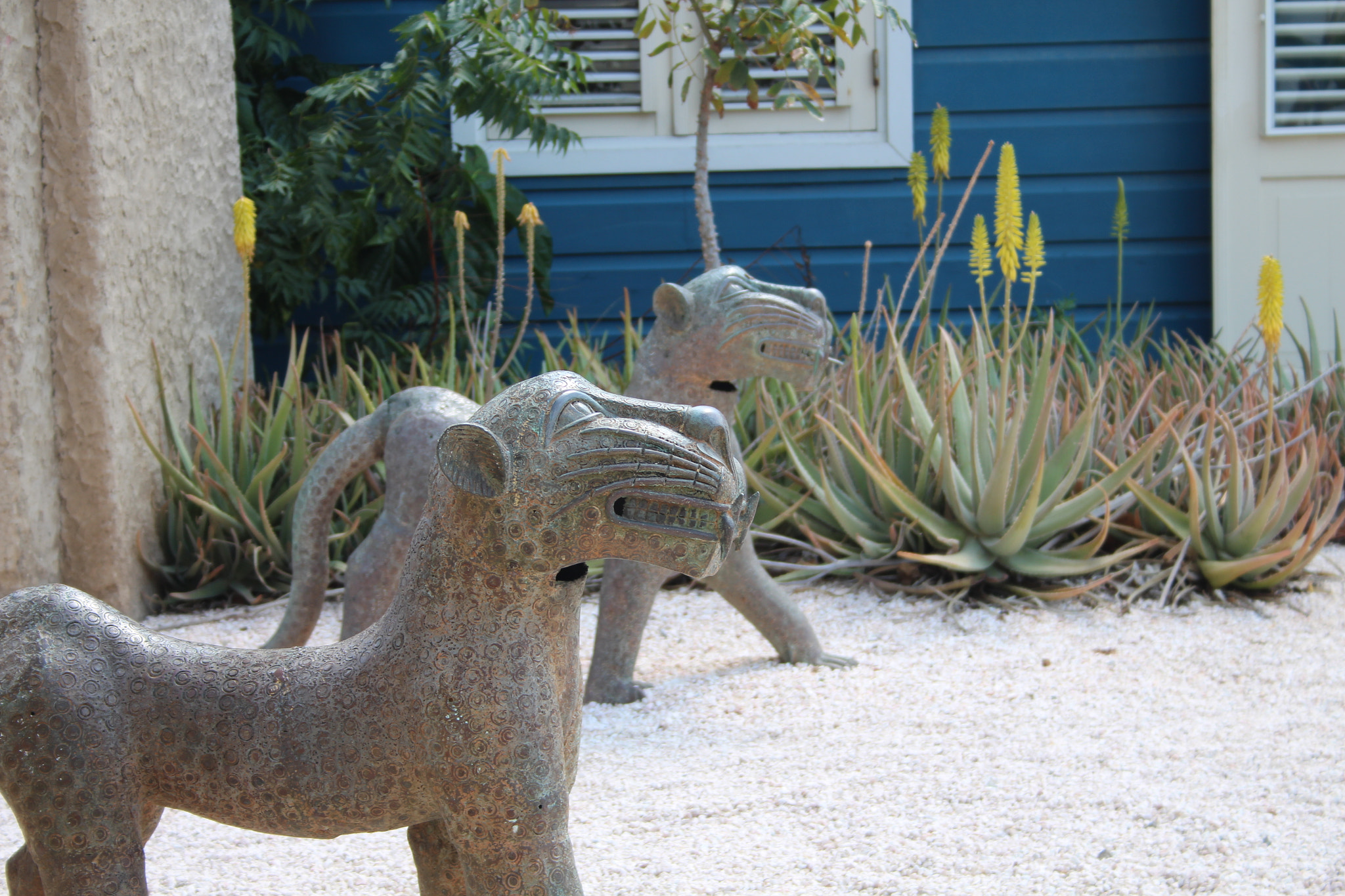 Canon EF-S 18-55mm F3.5-5.6 sample photo. Curacao photography
