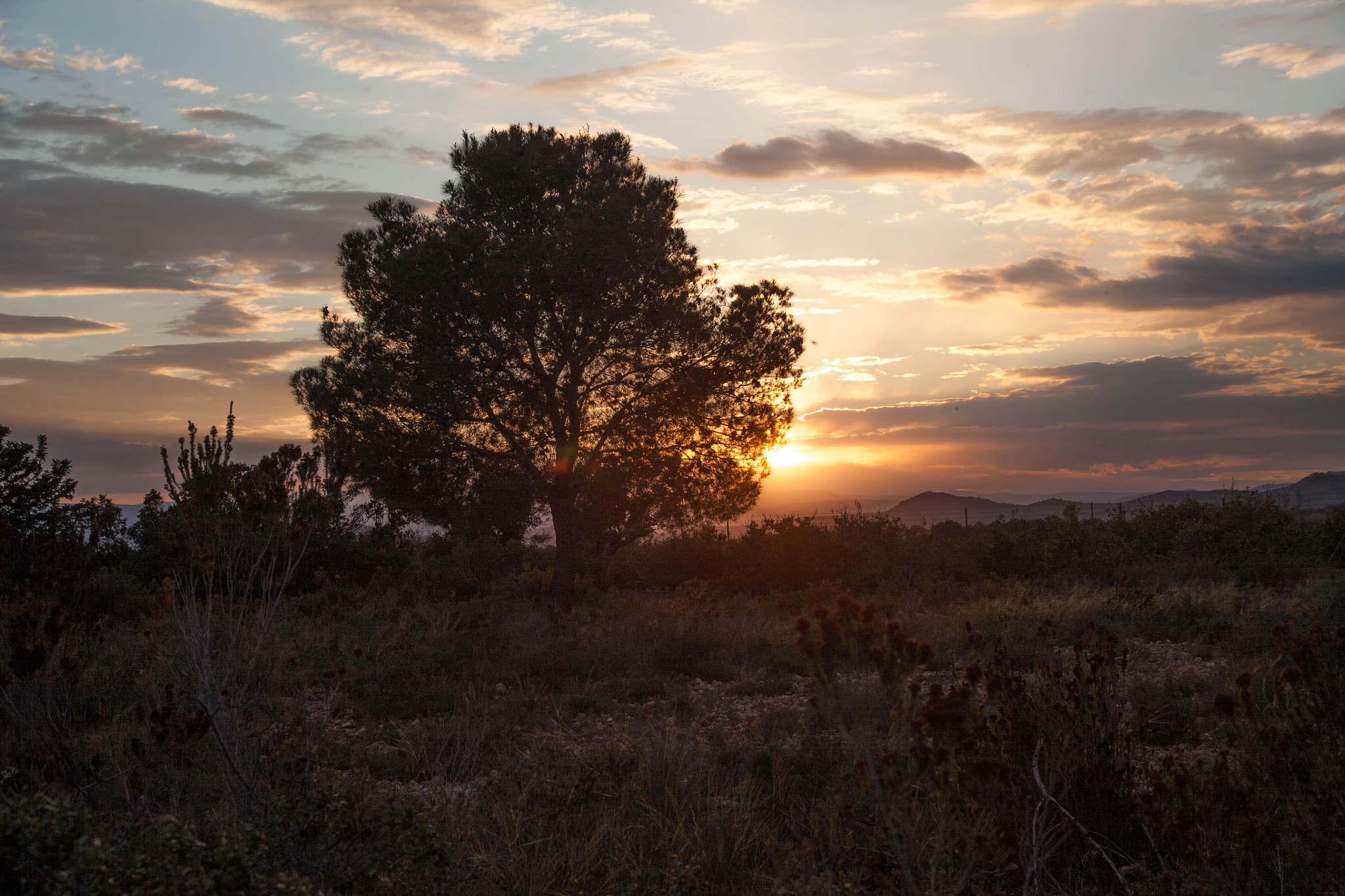 Canon EOS 5D + Tamron AF 28-200mm F3.8-5.6 XR Di Aspherical (IF) Macro sample photo. Sunset in la pobla photography