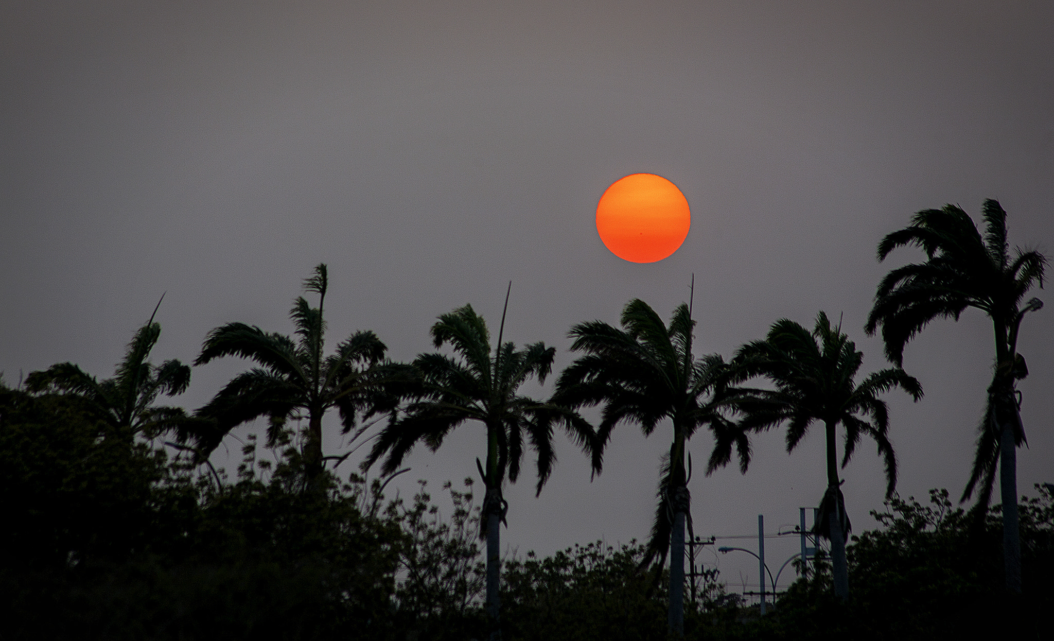 Canon EF 75-300mm F4.0-5.6 IS USM sample photo. Sol photography