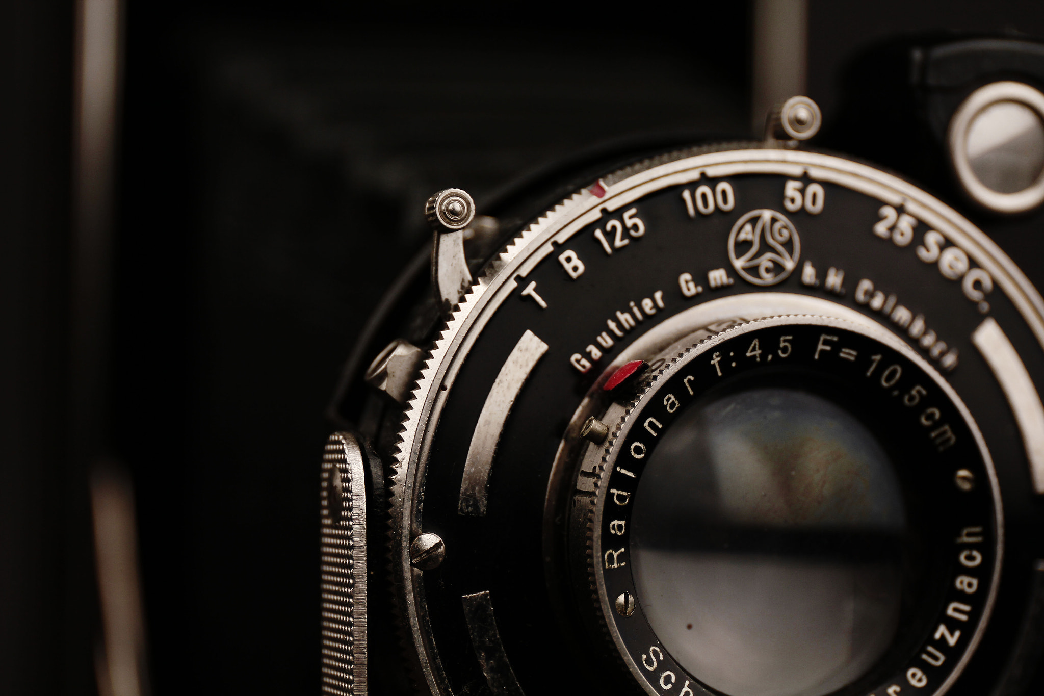 Canon EF 24-70mm F4L IS USM sample photo. Certix photography