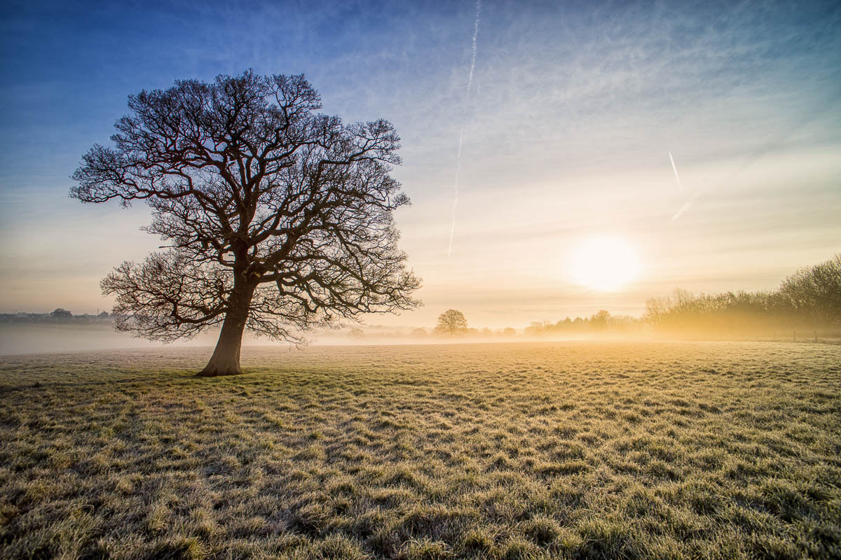 Sony a7 II + DT 0mm F0 SAM sample photo. On the way home... photography