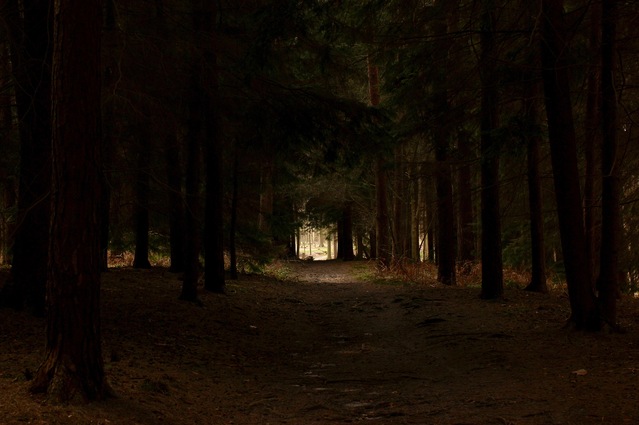 Canon EF 28-90mm f/4-5.6 sample photo. Point de fuite photography