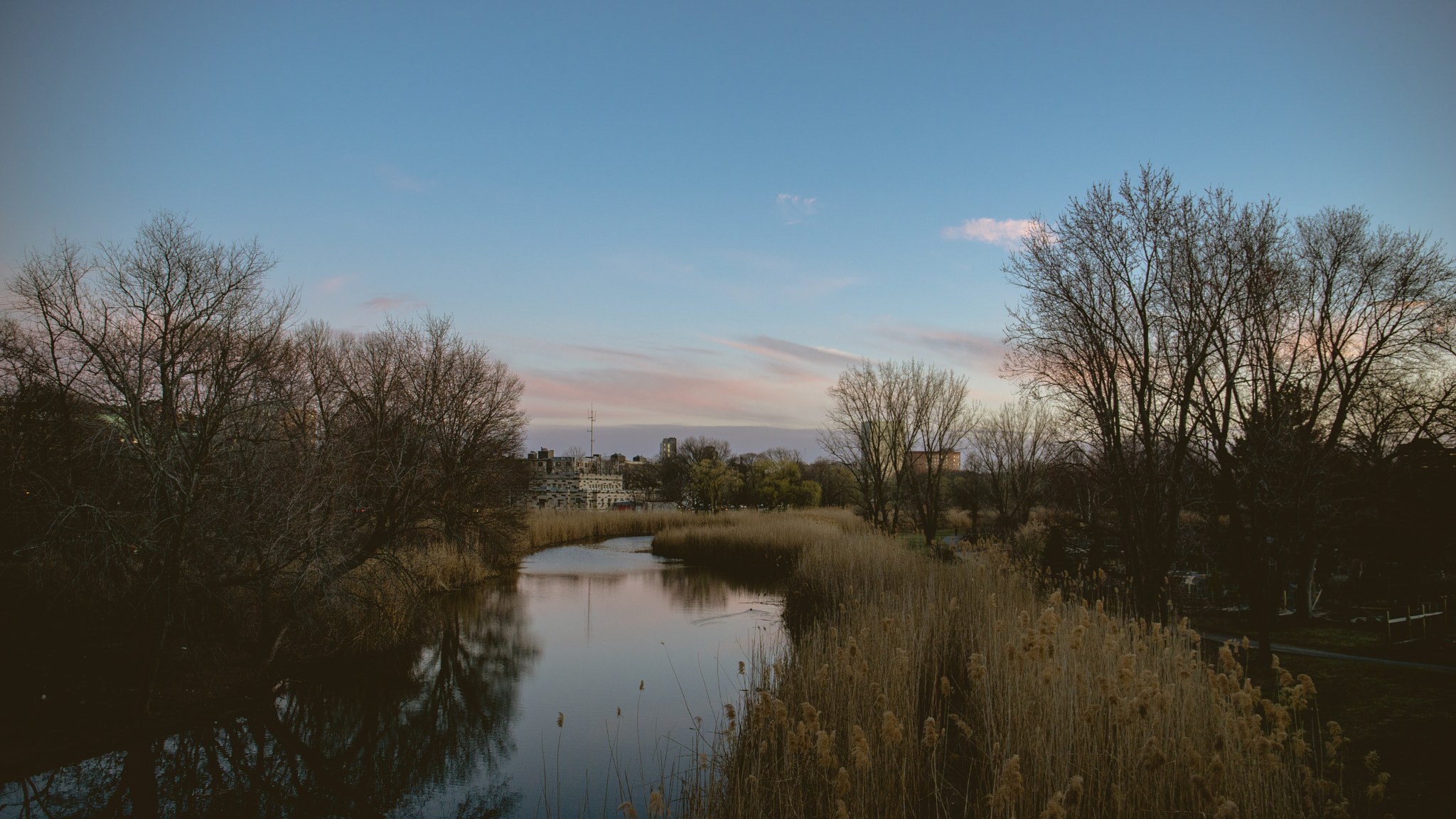 Sony a7 II + Canon EF 24-70mm F4L IS USM sample photo. Before sunset photography