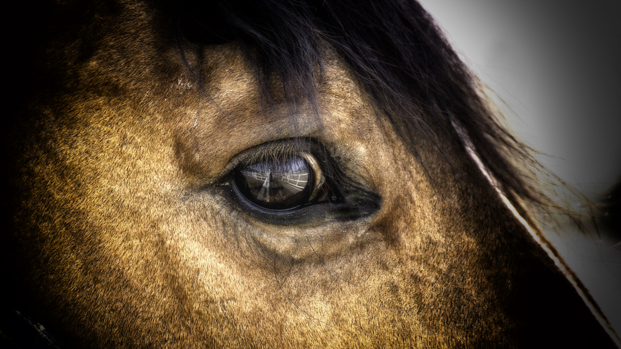 Sony DT 55-300mm F4.5-5.6 SAM sample photo. Hidden soul photography