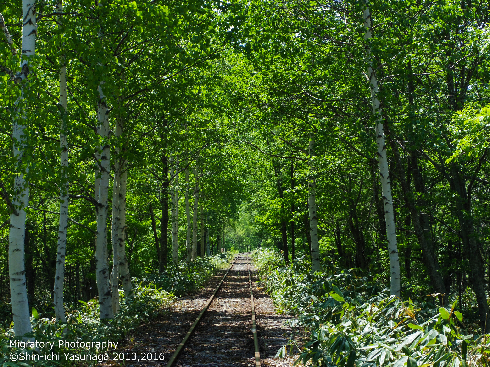 Pentax Q + Pentax 02 Standard Zoom sample photo. Early summer in bifuka town hokkaido,japan. photography