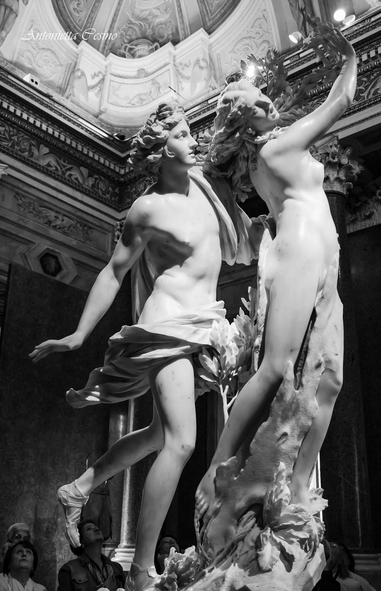 Canon EF-S 24mm F2.8 STM sample photo. Galleria borghese - apollo e dafne photography