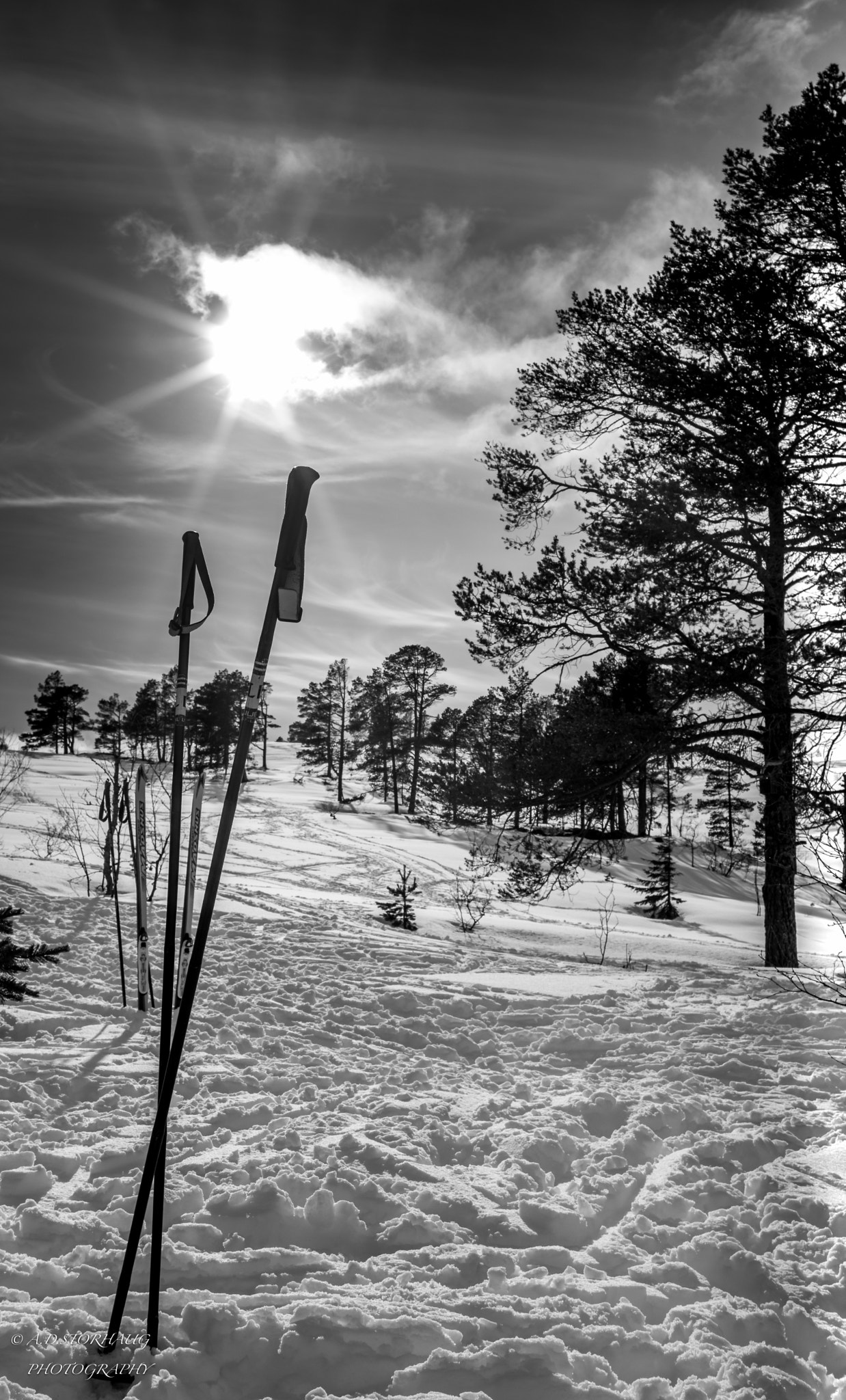 Nikon D7200 + Sigma 30mm F1.4 EX DC HSM sample photo. Winter photography