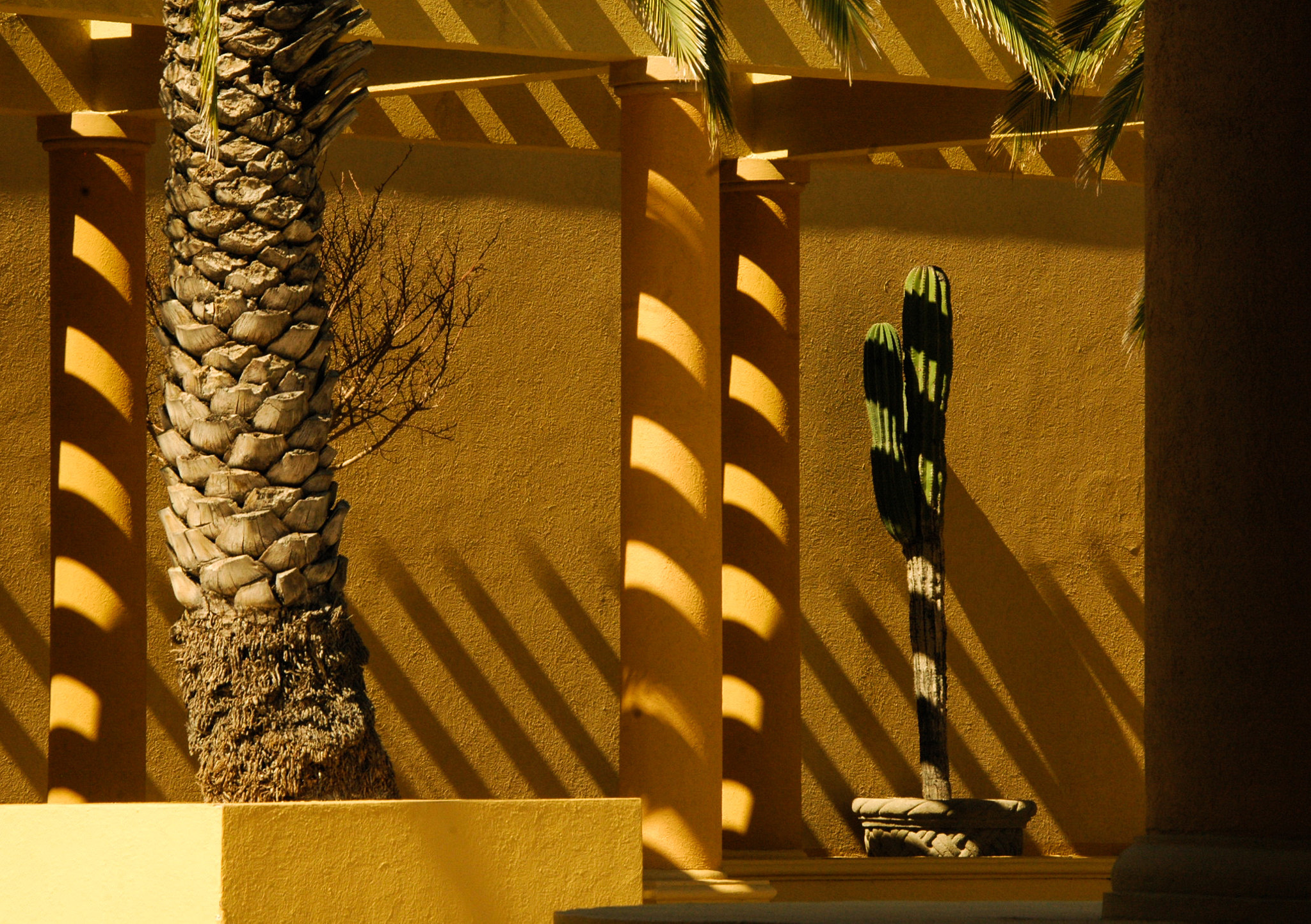Nikon D70s sample photo. Living among shadows in baja photography