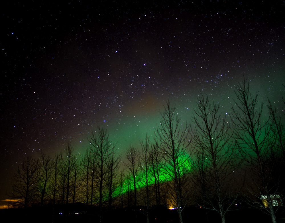 Leica Summilux-M 21mm F1.4 Asph sample photo. Iceland lights photography