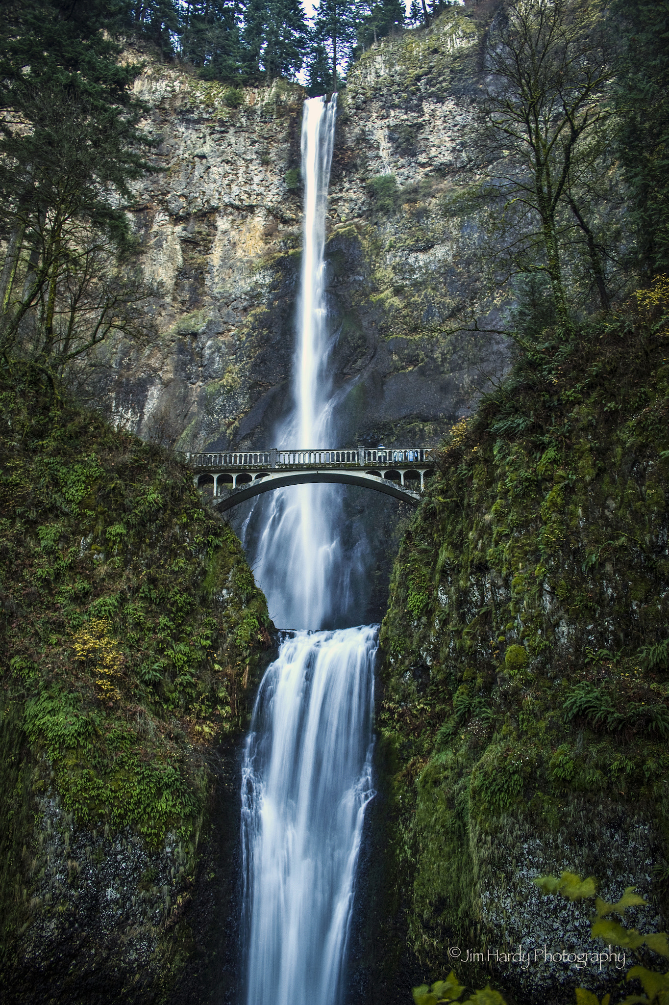 Canon EF-S 18-55mm F3.5-5.6 sample photo. Multnomah photography