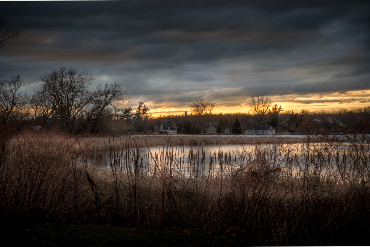 Nikon D600 sample photo. Grassept photography