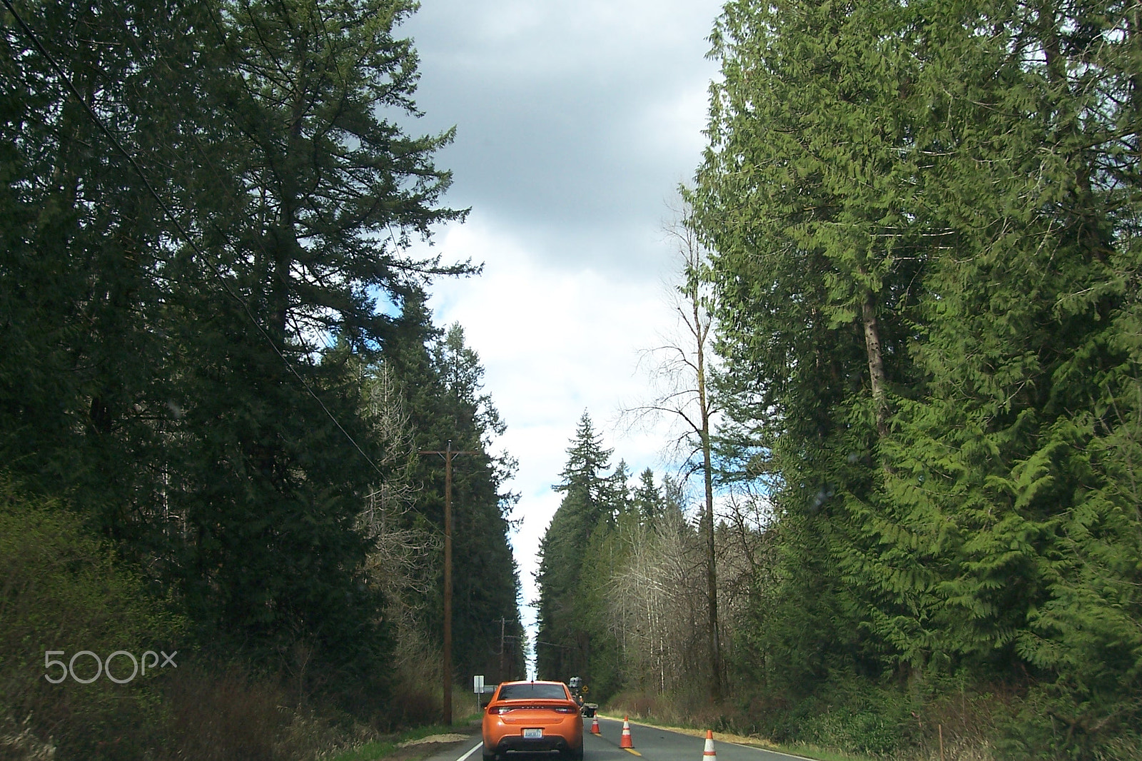Kodak CX7430 ZOOM DIGITAL CAMERA sample photo. Commute through the woods tumwater, wa photography