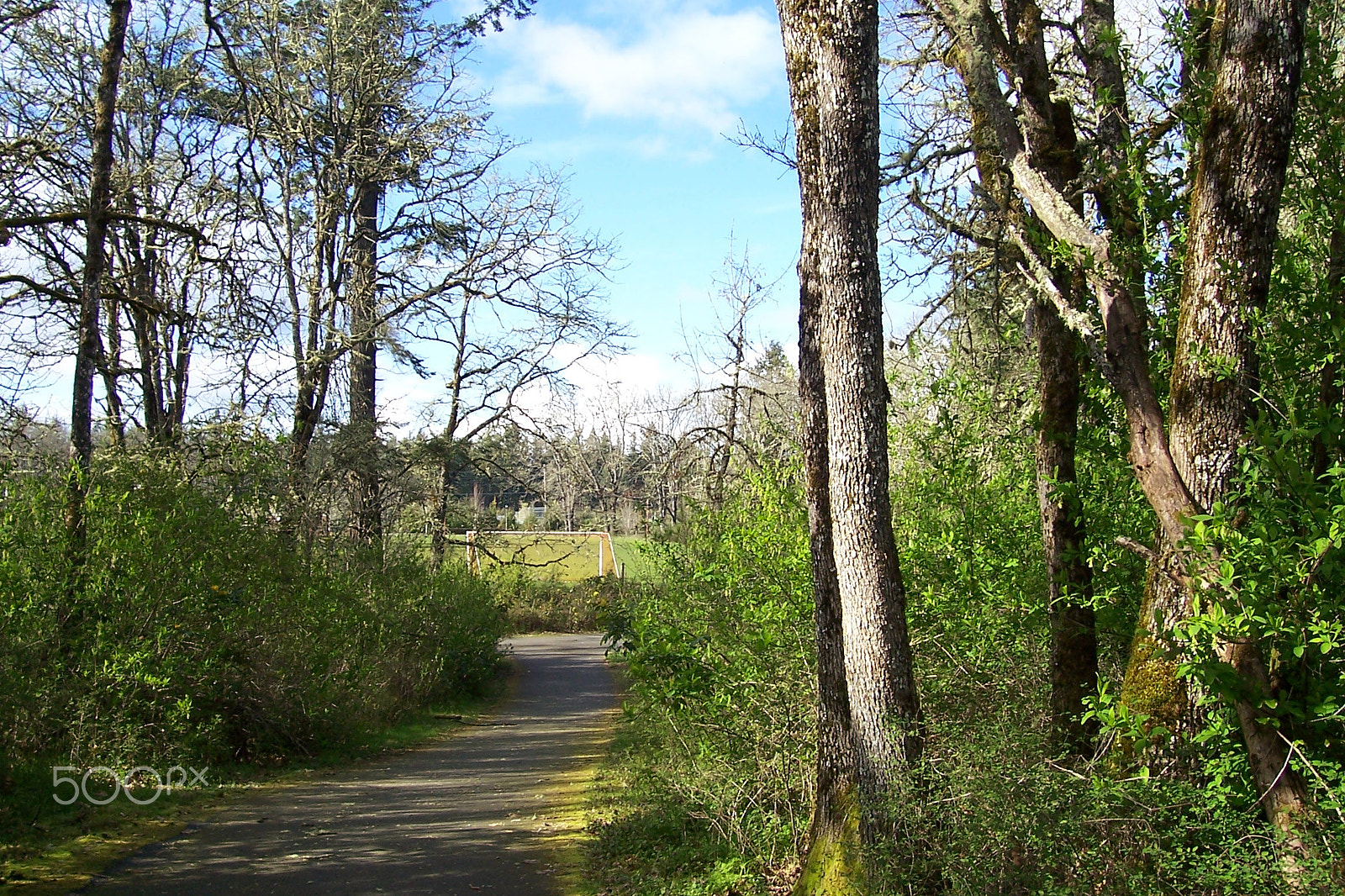 Kodak CX7430 ZOOM DIGITAL CAMERA sample photo. Park trail mima mounds photography