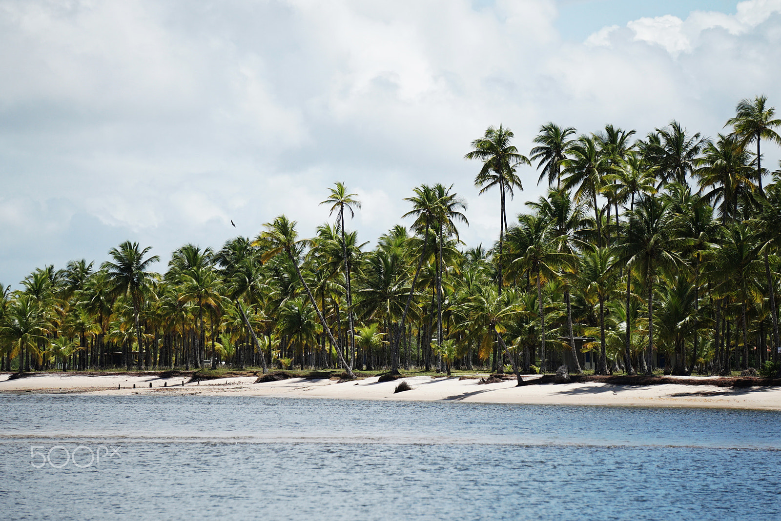 Sony a7S sample photo. Morro de sao paulo - bahia - brasil photography
