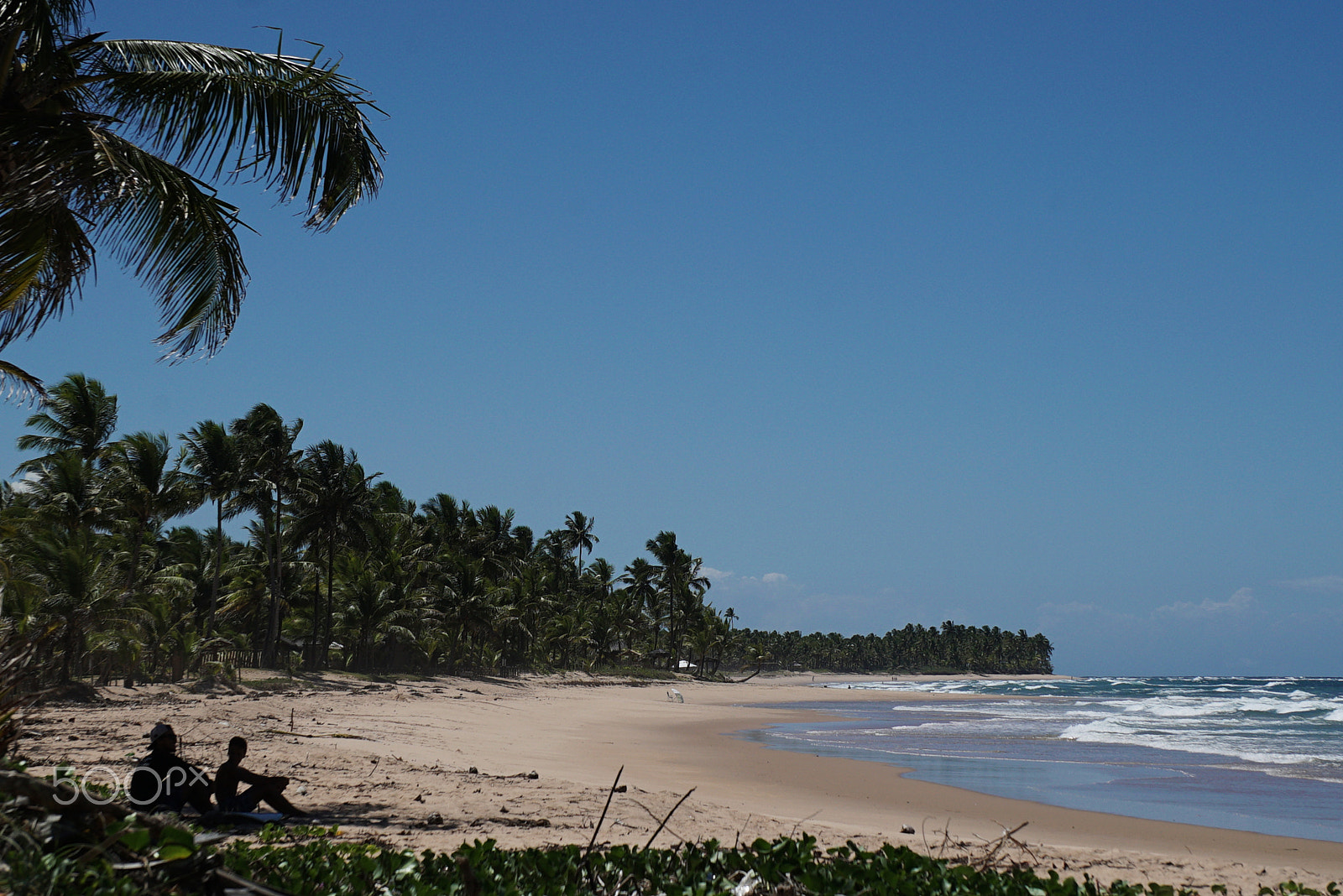 Sony a7S sample photo. Taipu de fora - barra grande - bahia - brasil photography