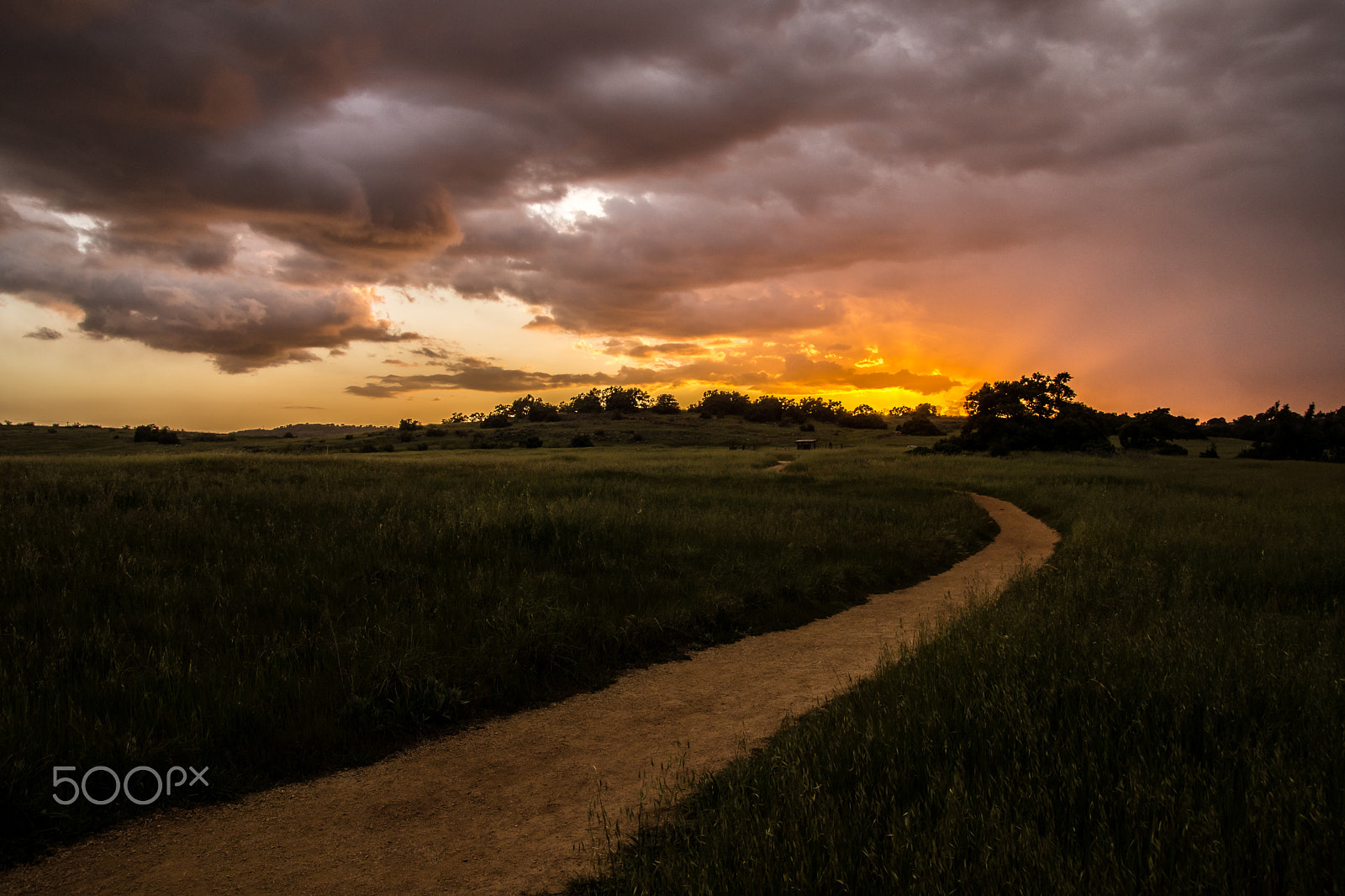 Sony SLT-A65 (SLT-A65V) sample photo. Heaven's trail photography