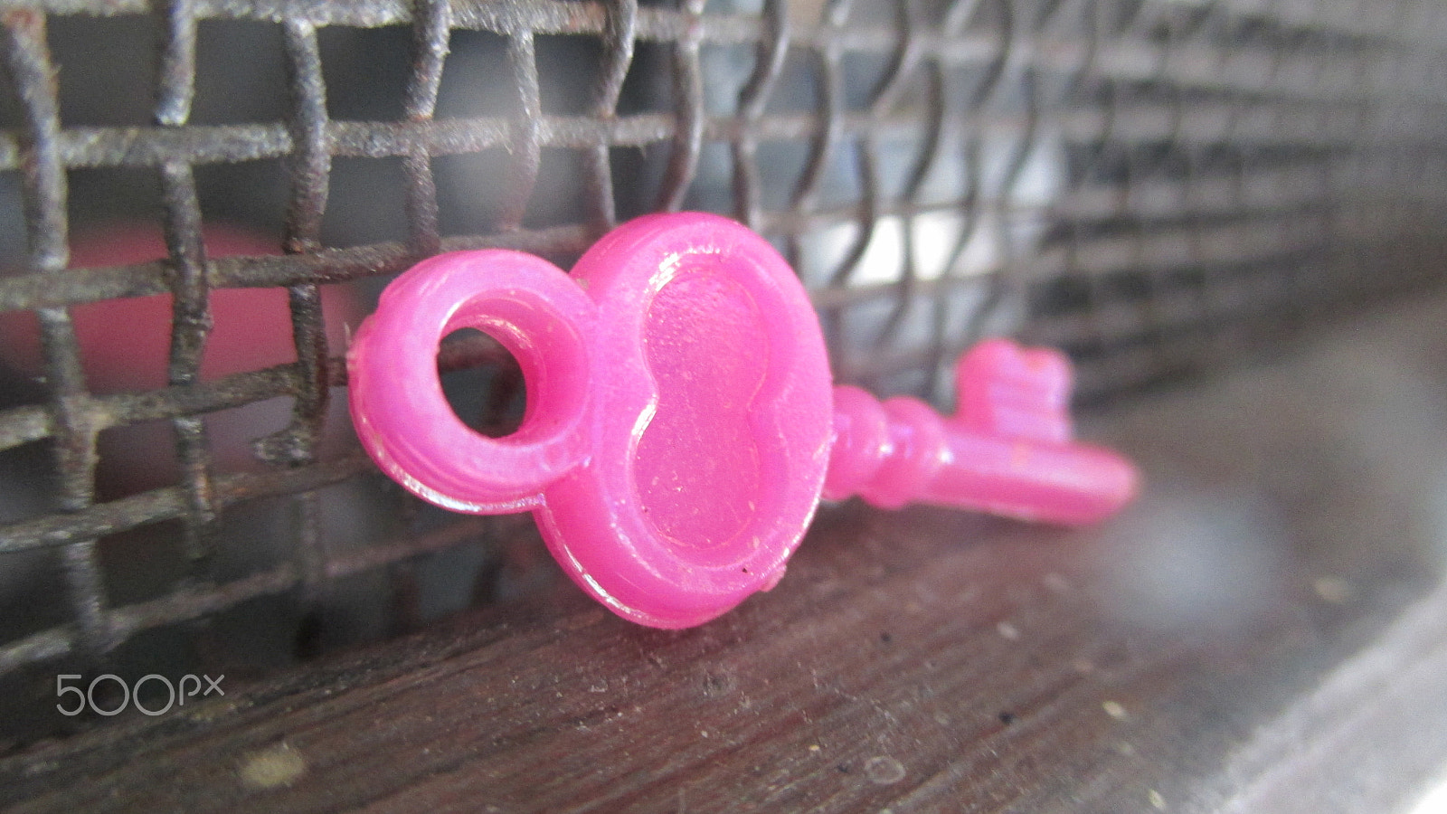 Canon PowerShot ELPH 115 IS (IXUS 132 / IXY 90F) sample photo. Pink key photography