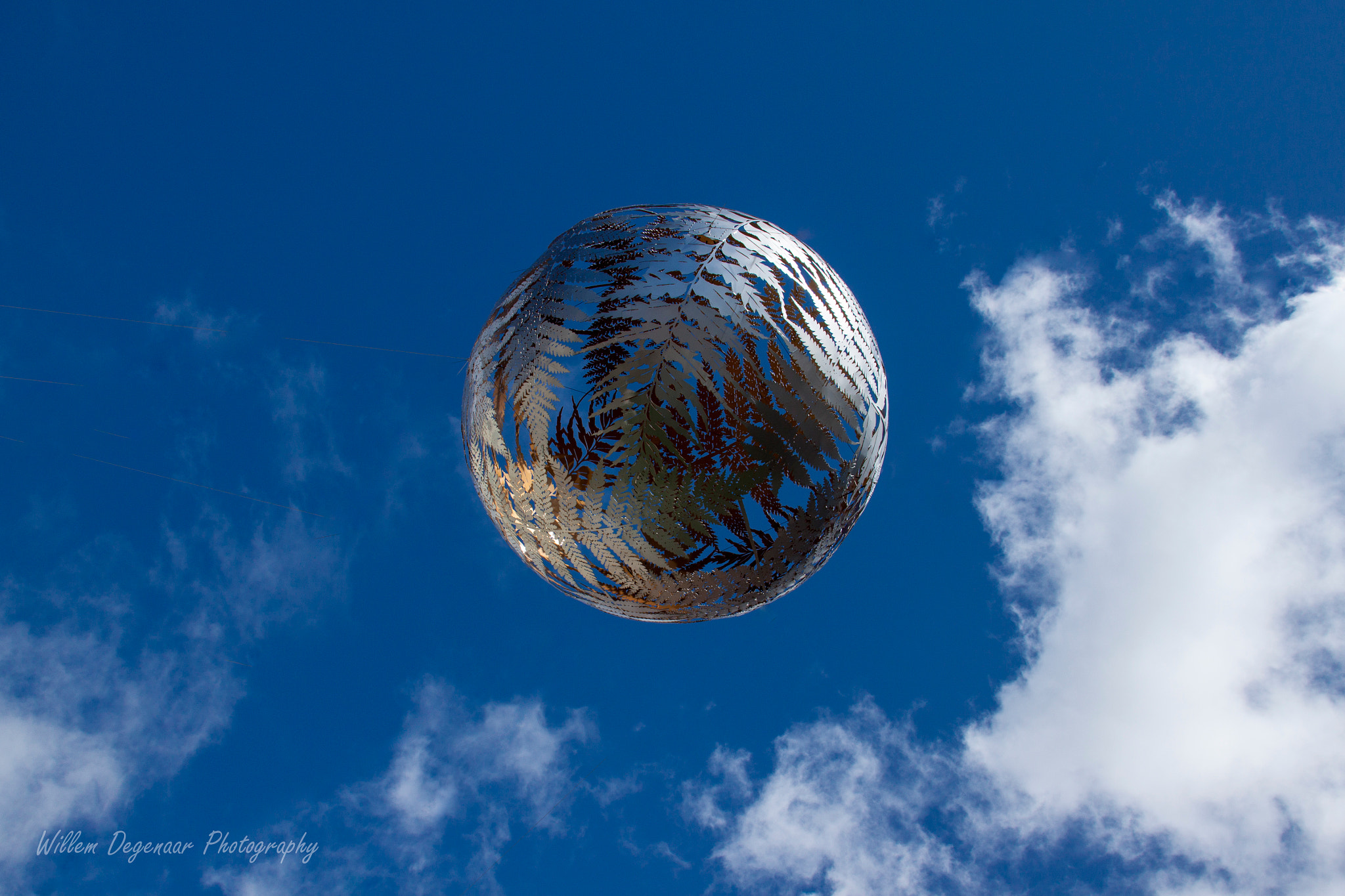 Canon EF 28-135mm F3.5-5.6 IS USM sample photo. Silver ferns photography