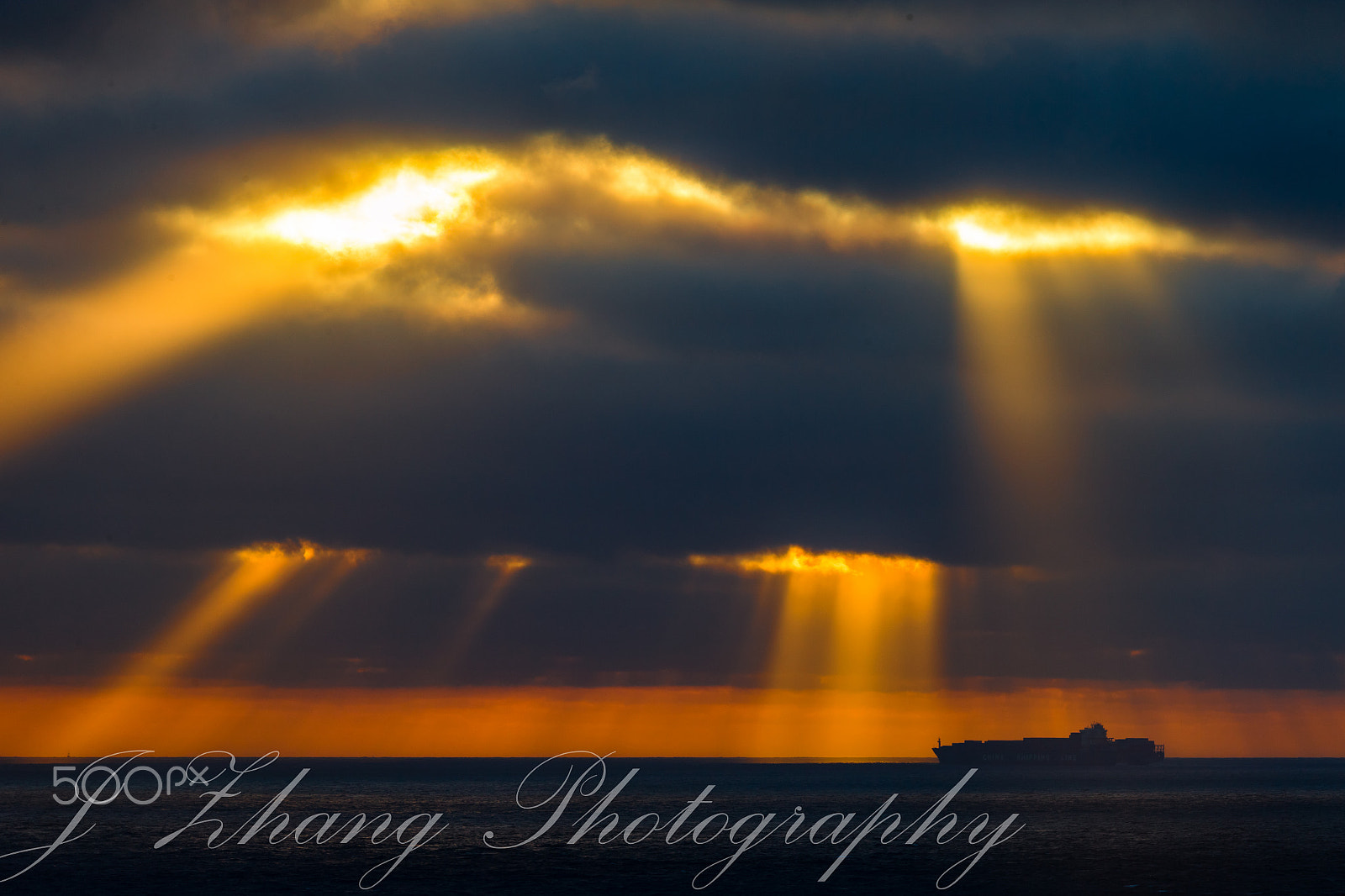 Sigma 150-600mm F5-6.3 DG OS HSM | C sample photo. Sunbeam photography