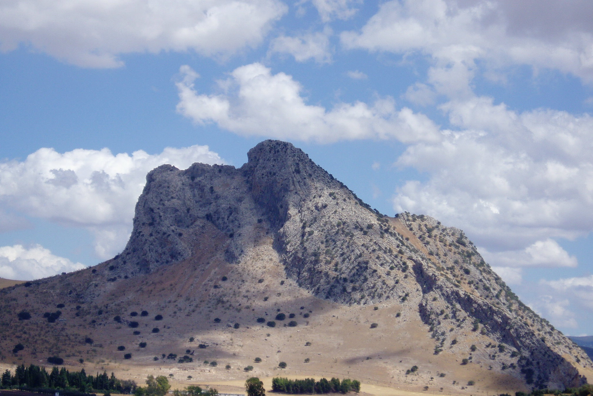 Olympus u10D,S300D,u300D sample photo. El indio ..de antequera. photography