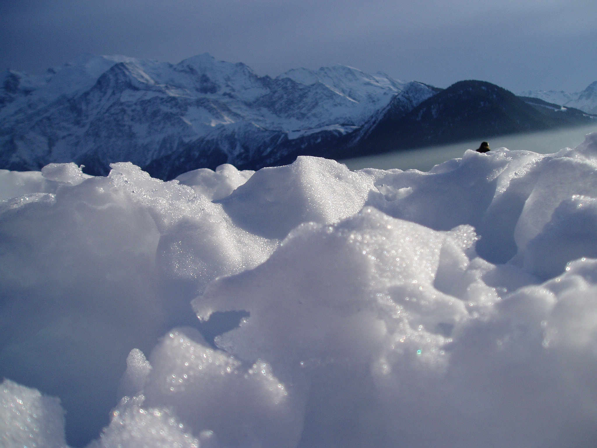Olympus u10D,S300D,u300D sample photo. Los alpes suizos photography
