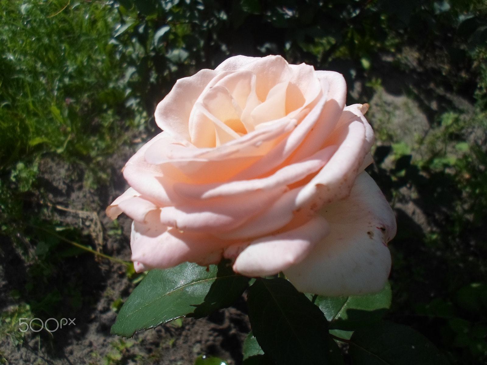 Samsung ST77 / ST79 sample photo. Sam_0199.jpg photography