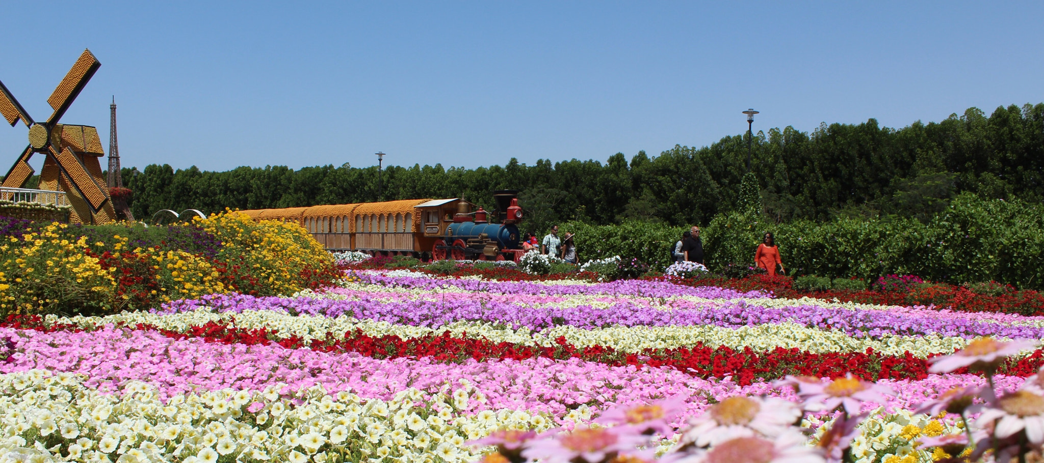 Canon EF-S 18-55mm F3.5-5.6 III sample photo
