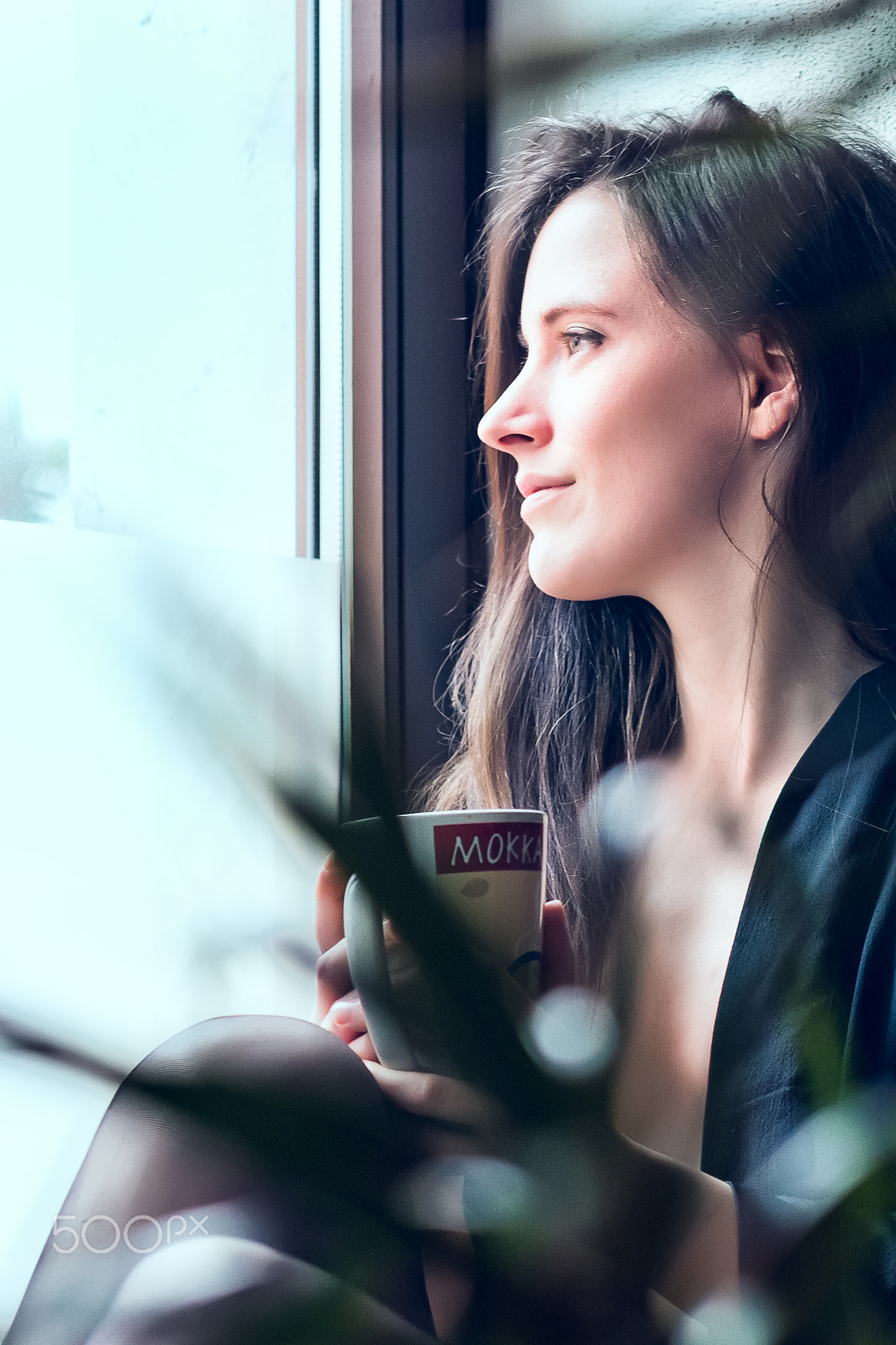 ZEISS Milvus 50mm F1.4 sample photo. At the window photography