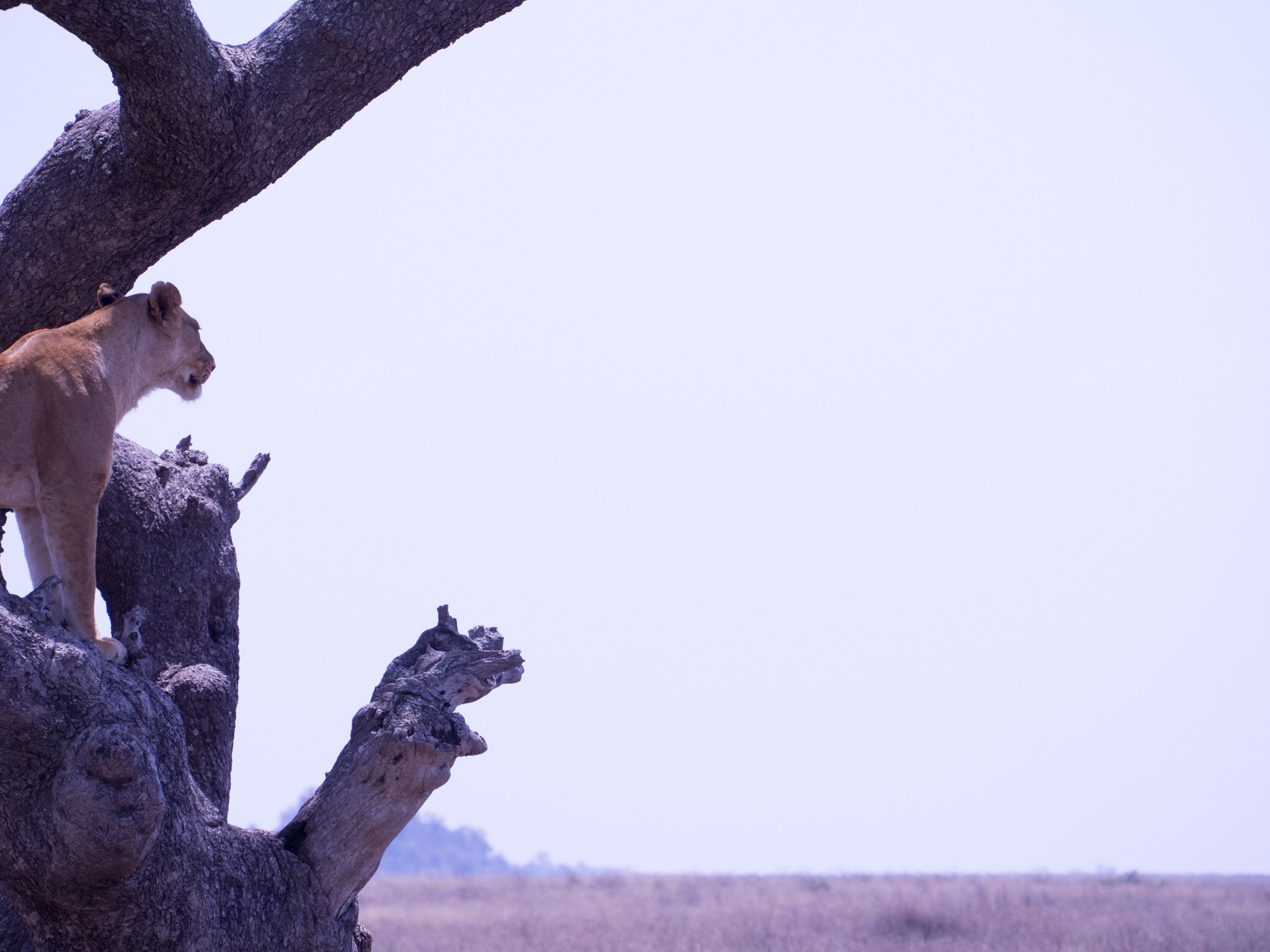 Olympus PEN E-PM2 sample photo. The horizon  photography
