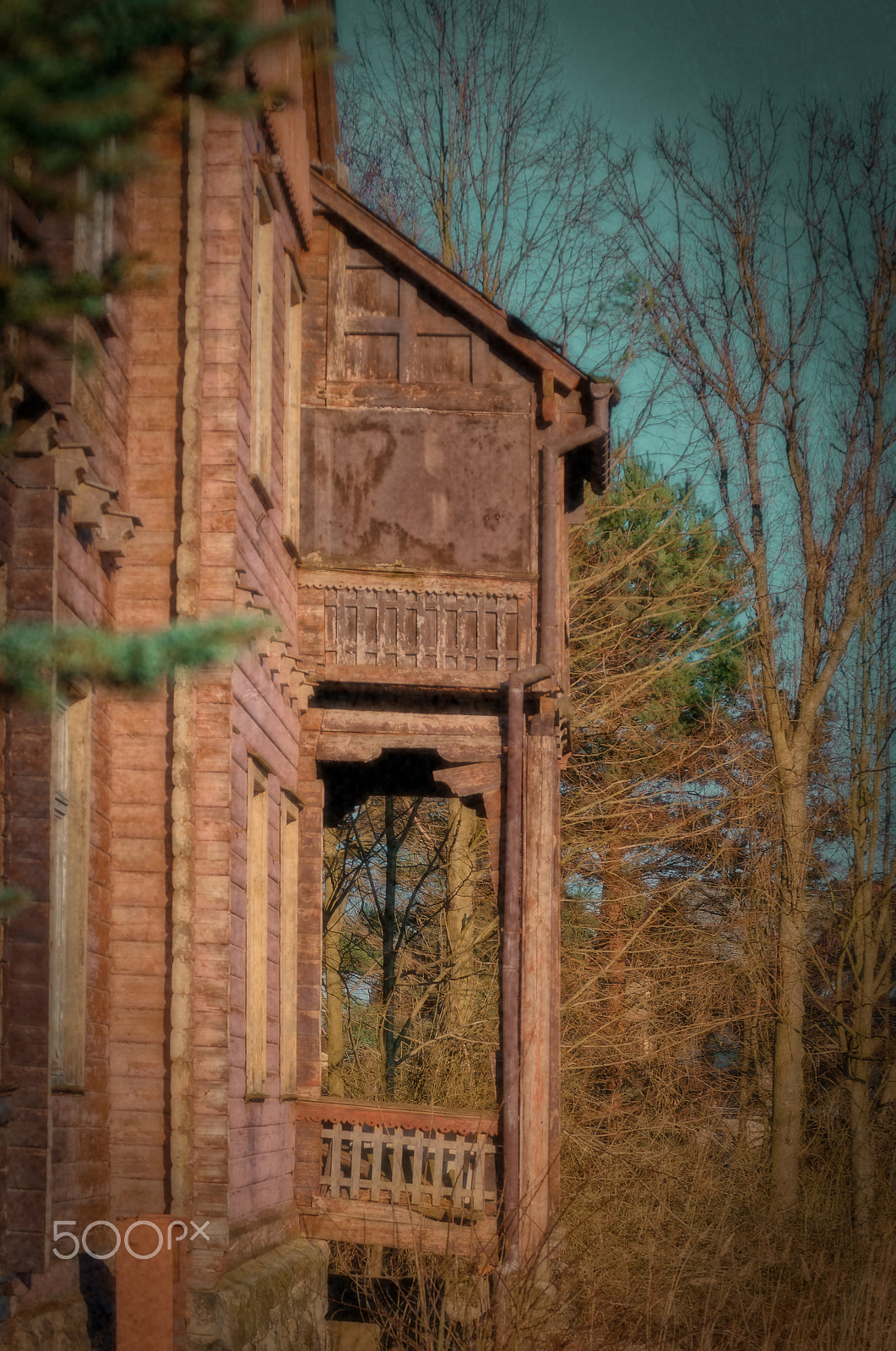 Sigma 50-500mm F4.5-6.3 DG OS HSM sample photo. Sweet dereliction photography