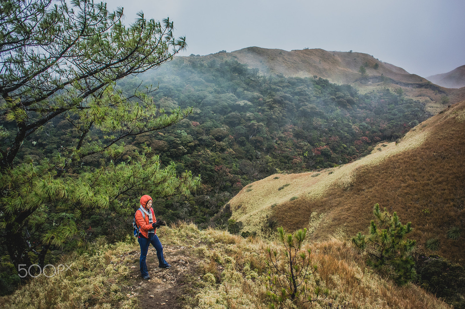 Nikon 1 V3 + Nikon 1 Nikkor 10mm F2.8 sample photo. Mount pulag photography