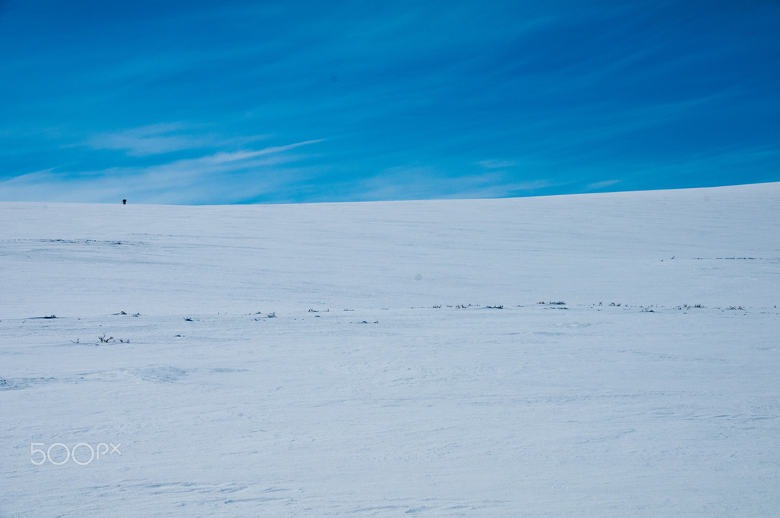 Nikon D300 + Nikon PC-E Nikkor 24mm F3.5D ED Tilt-Shift sample photo. Skiers photography