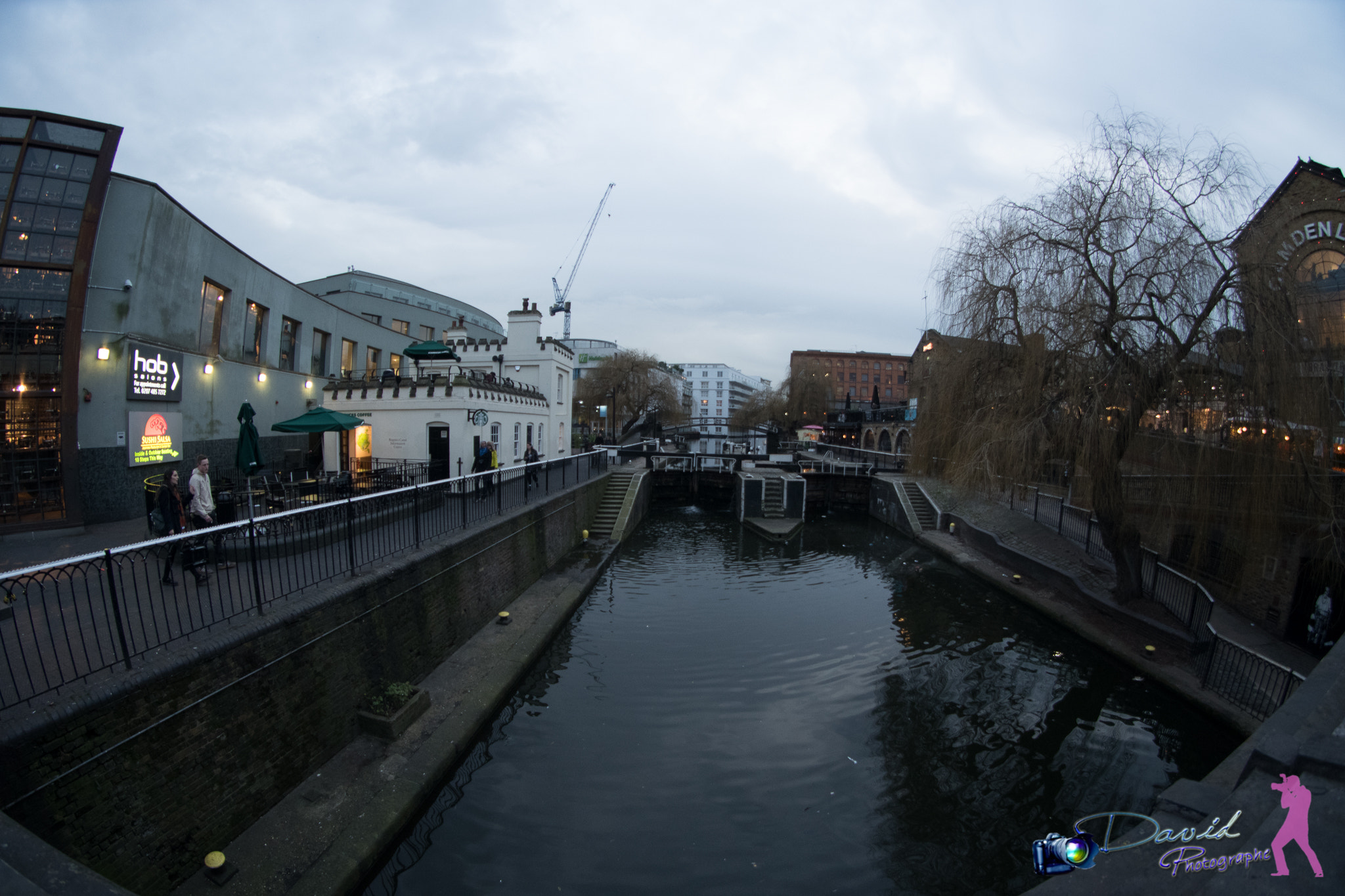Pentax K-S1 sample photo