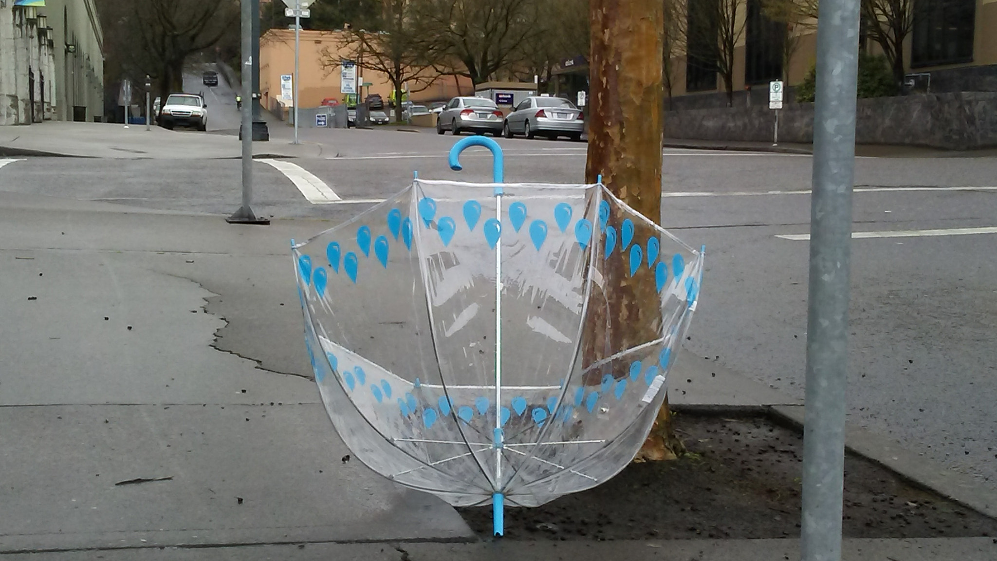 LG M1 sample photo. 20160312_144614.jpg. wind swept photography