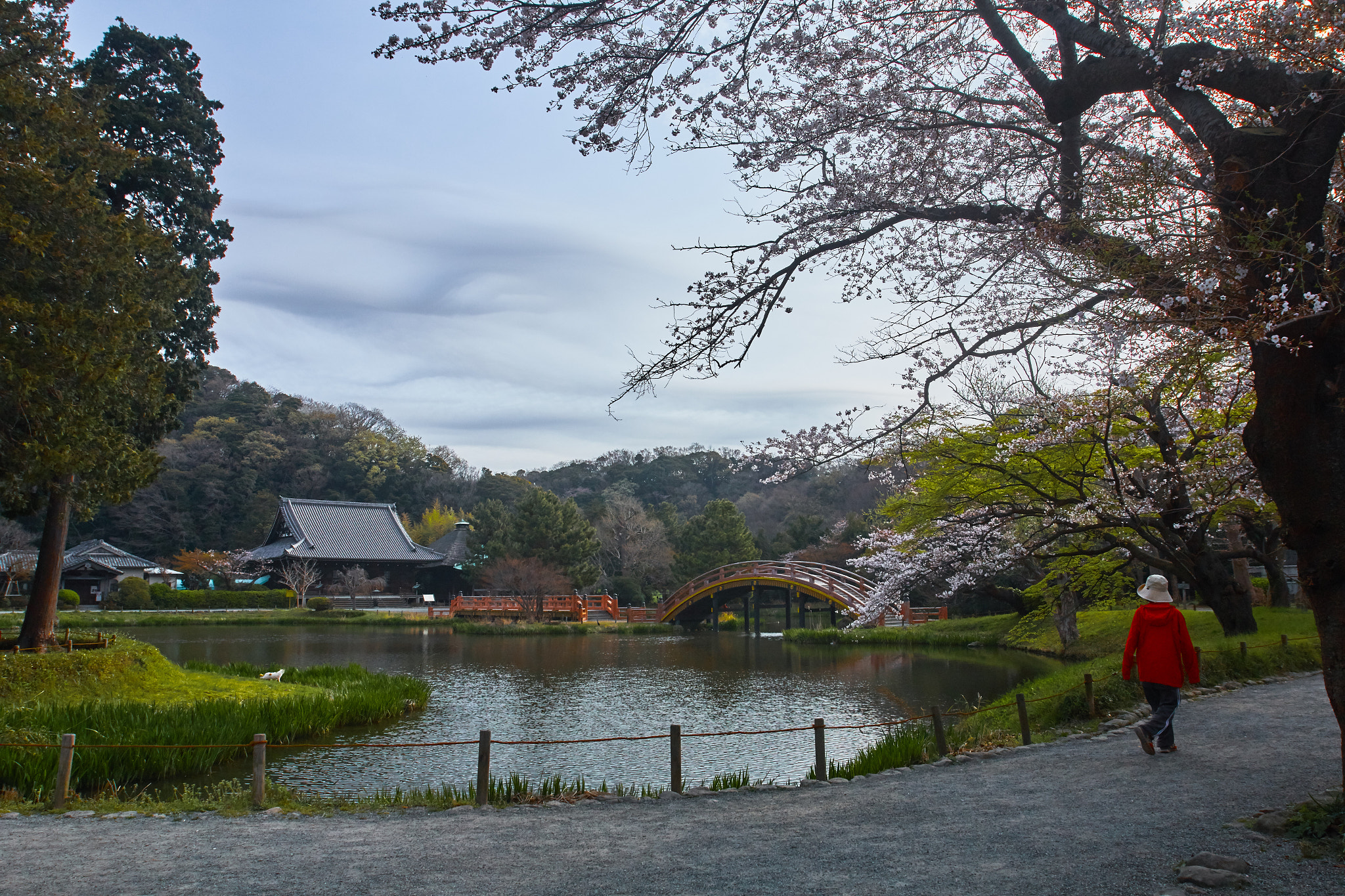 Canon EOS 70D + Canon EF 16-35mm F2.8L USM sample photo. Ancient spring photography