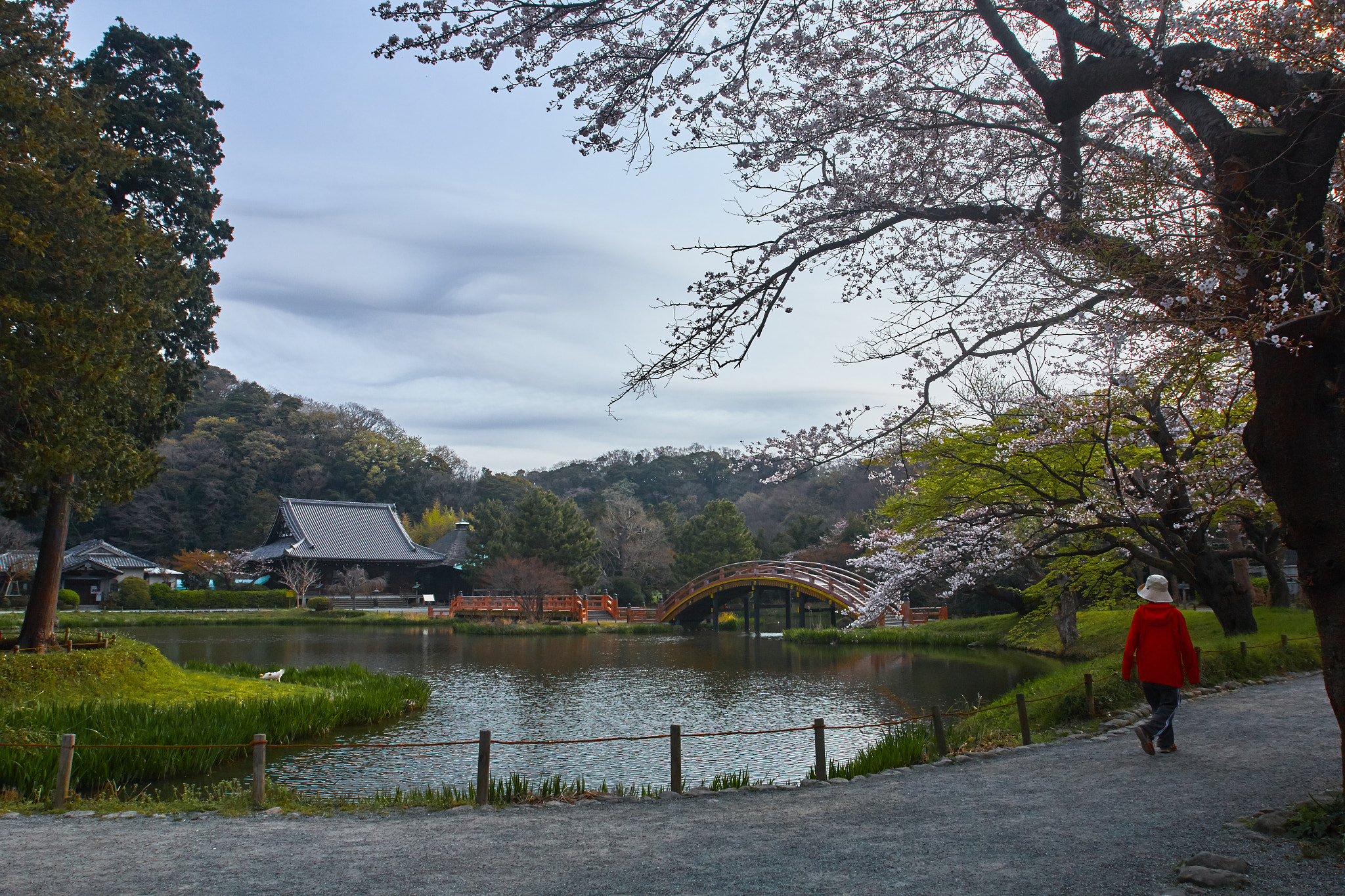 Canon EF 16-35mm F2.8L USM sample photo. Ancient spring photography
