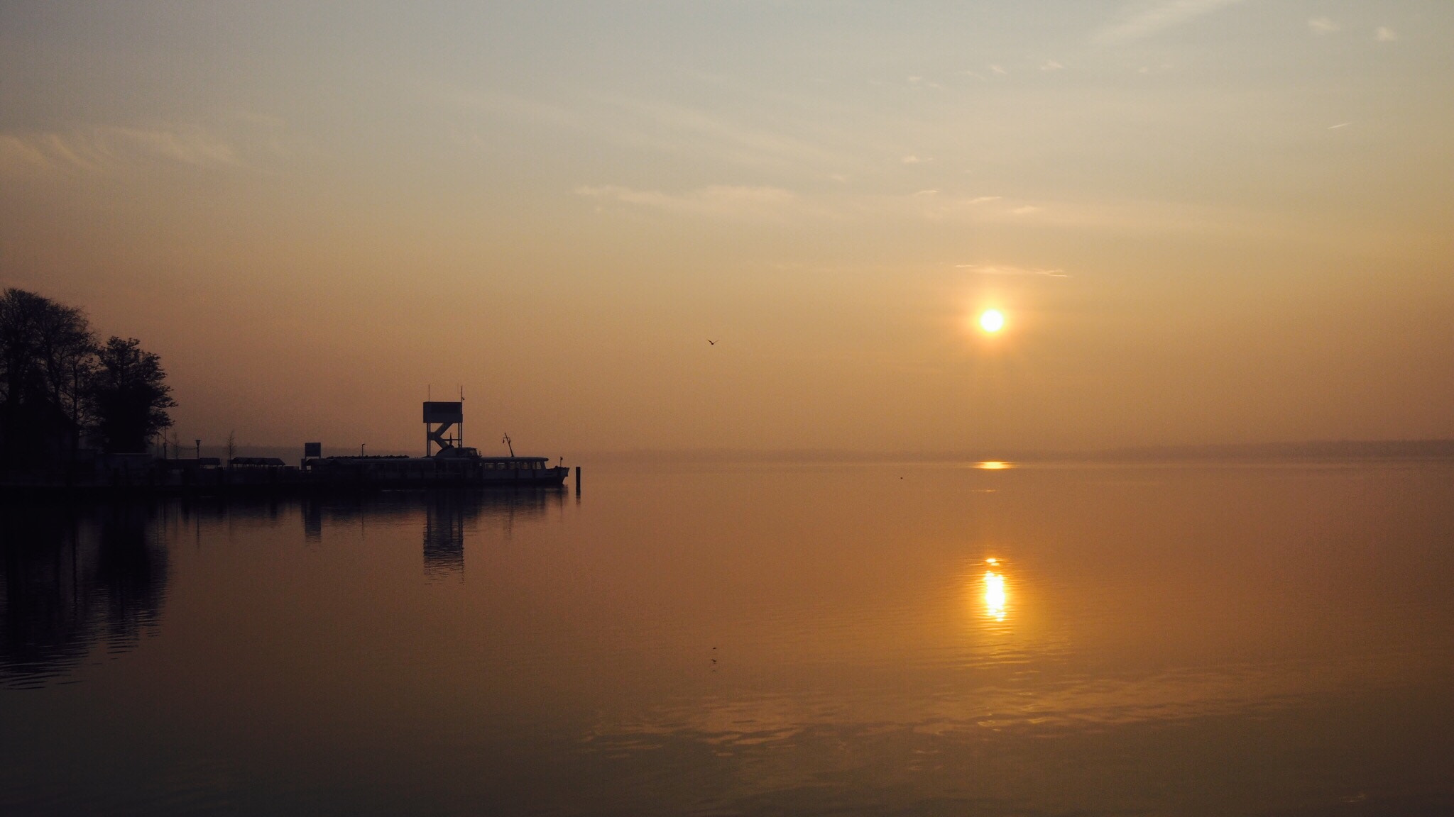 Olympus PEN E-PL7 + Sigma 19mm F2.8 DN Art sample photo. Sonnenaufgang "müggelsee"  photography