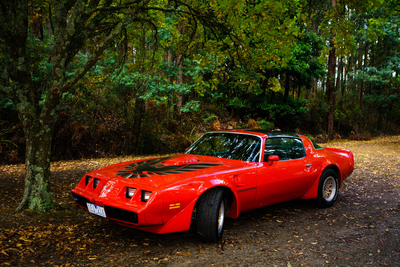 Sony a7R II + Canon EF 17-40mm F4L USM sample photo. Américain grunt photography