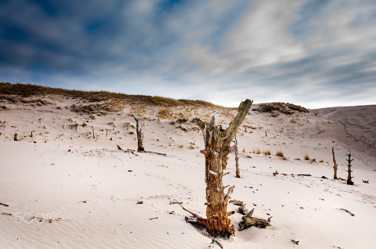 Sigma 17-50mm F2.8 EX DC HSM sample photo. Moving dunes in the slowinski national park photography